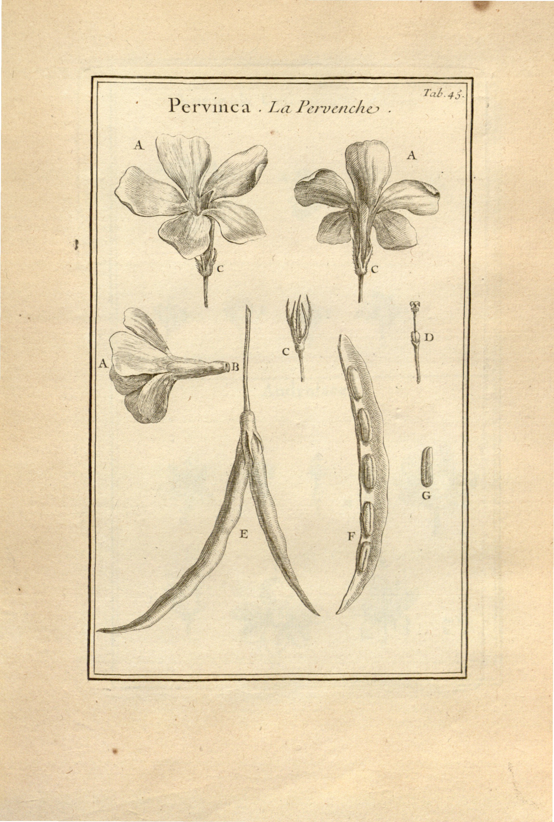 no full size  illustration available (3a)