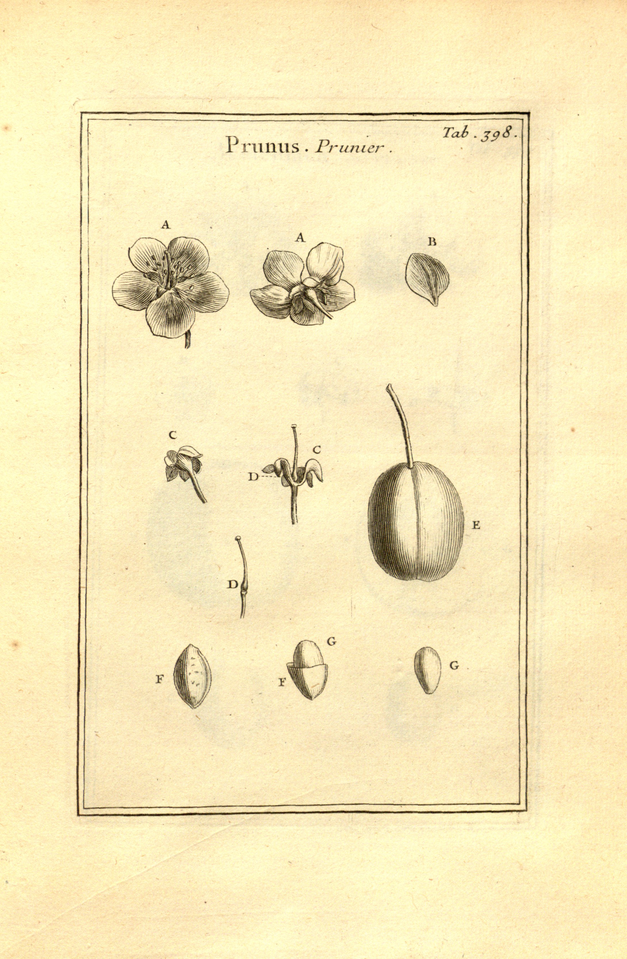 no full size  illustration available (3a)