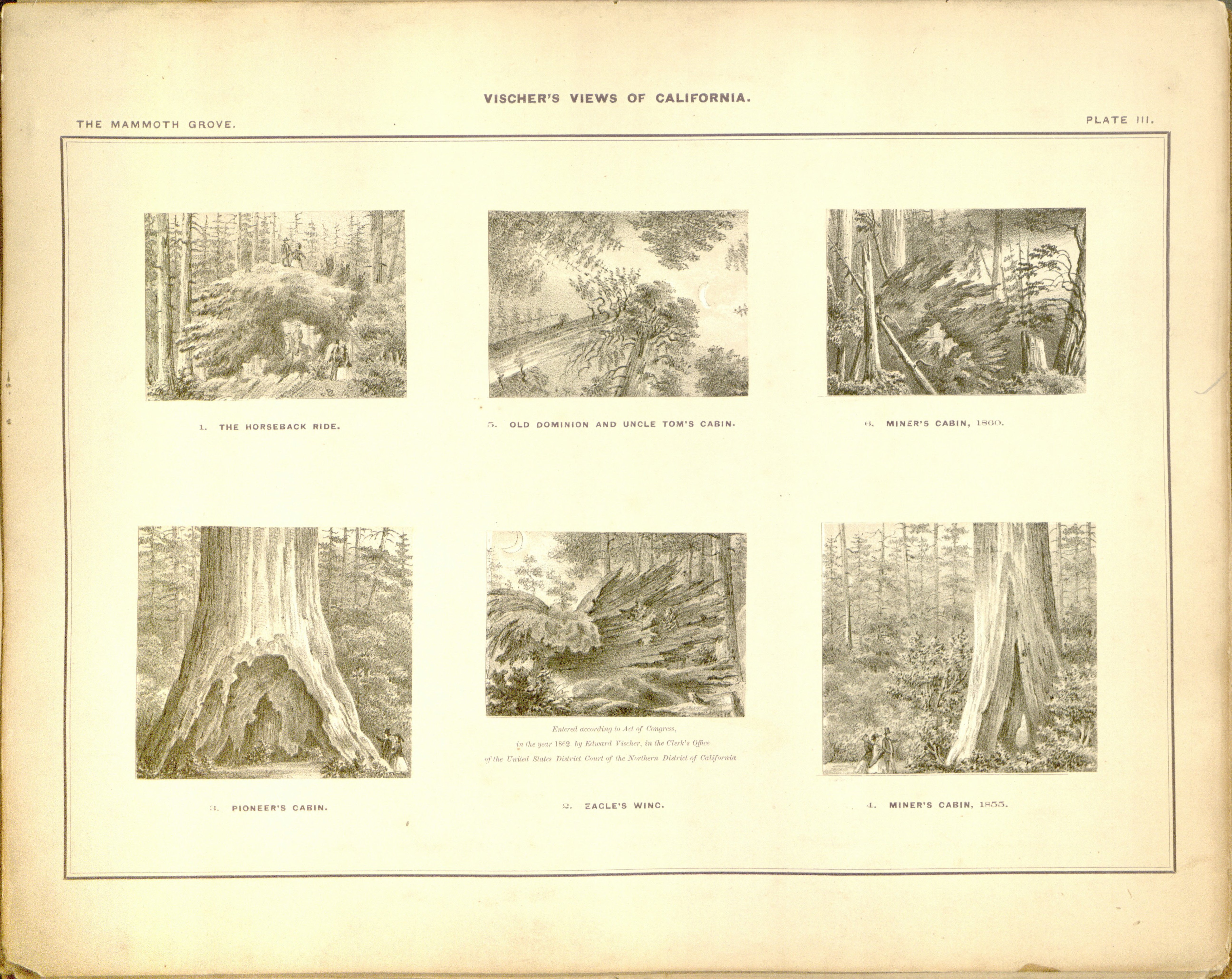 no full size  illustration available (3a)