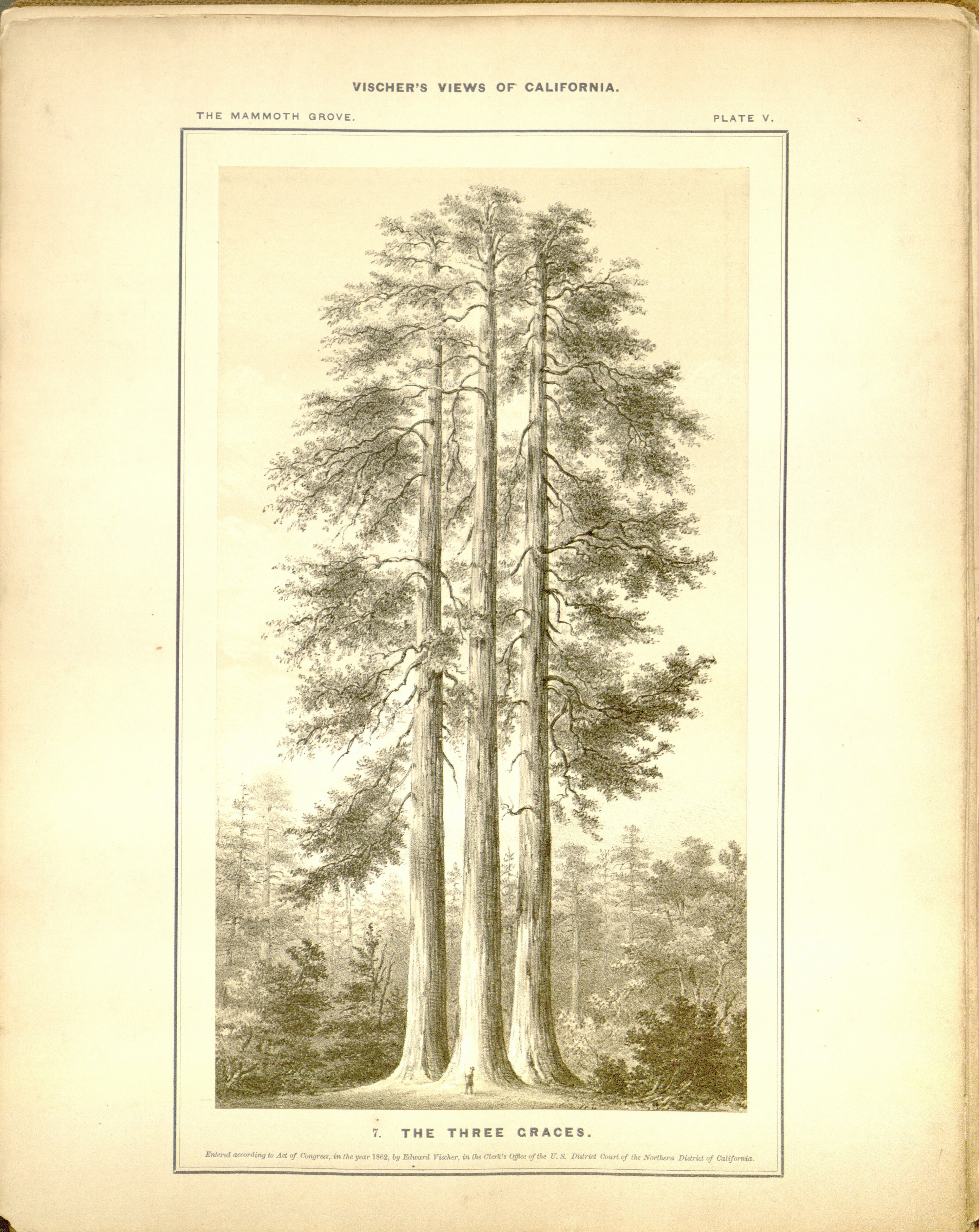 no full size  illustration available (3a)