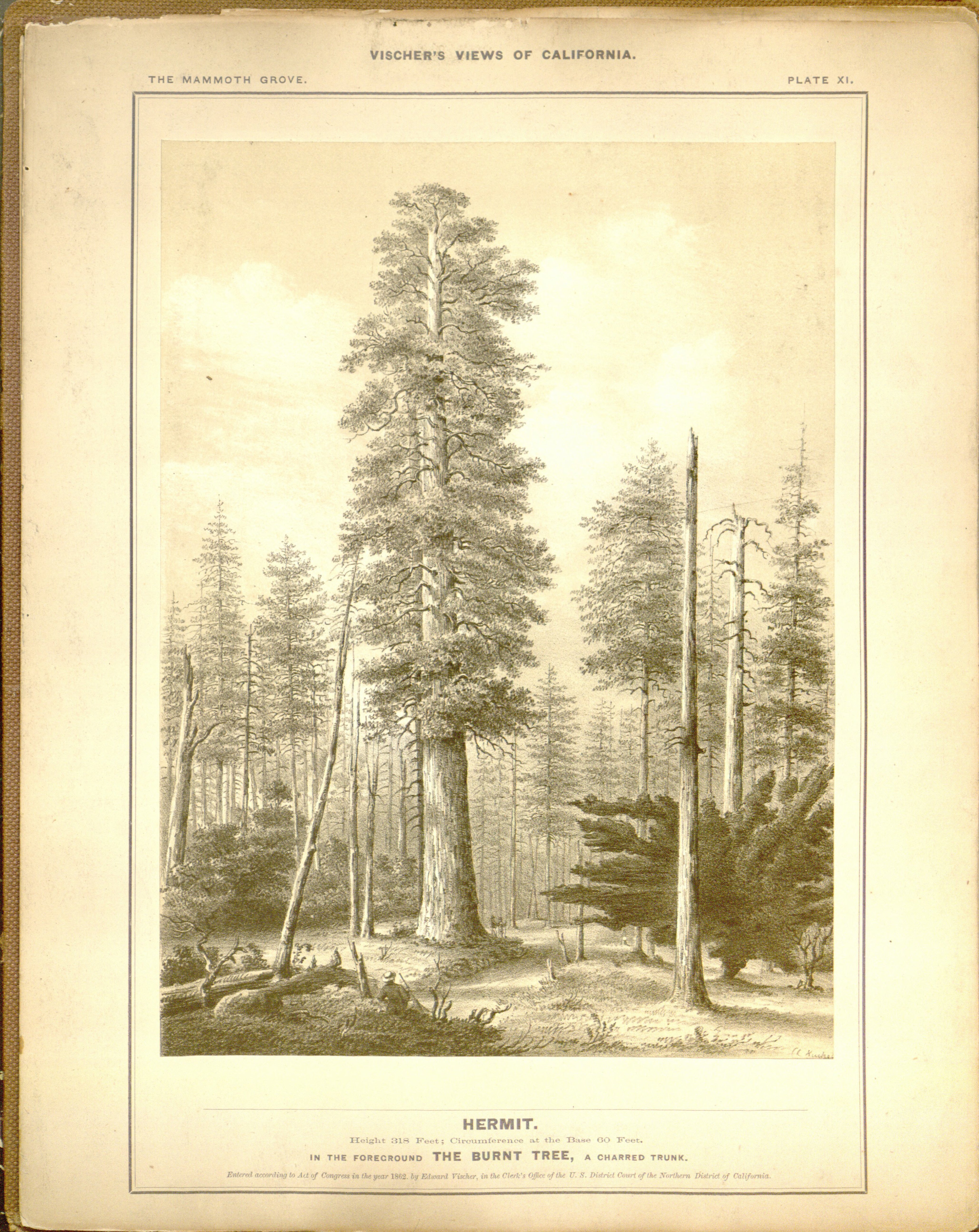 no full size  illustration available (3a)