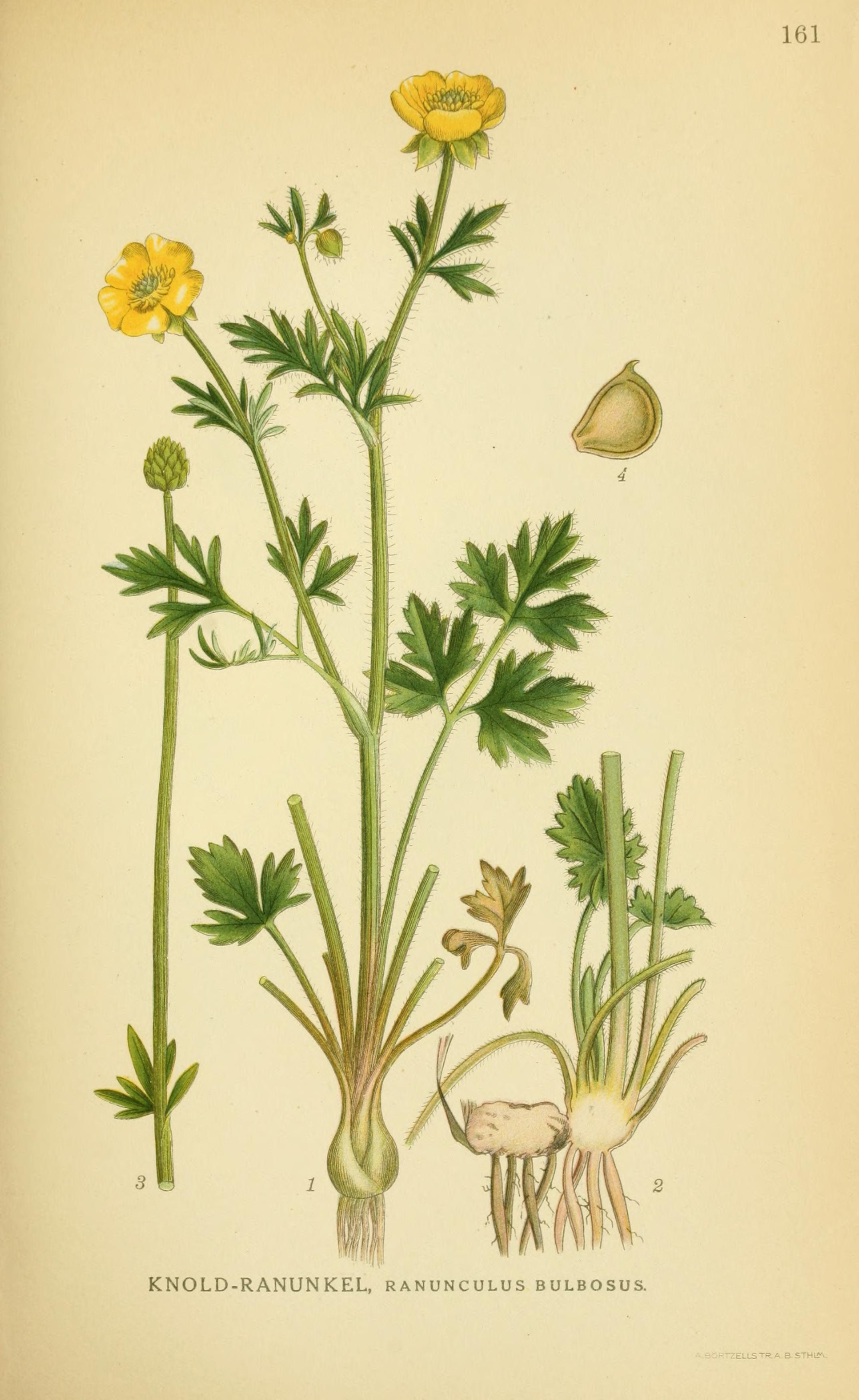 no full size  illustration available (3a)