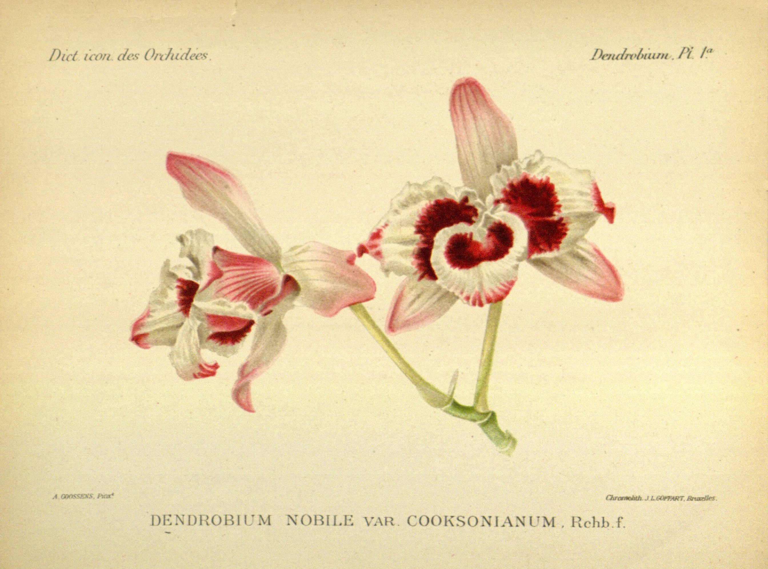 no full size  illustration available (3a)