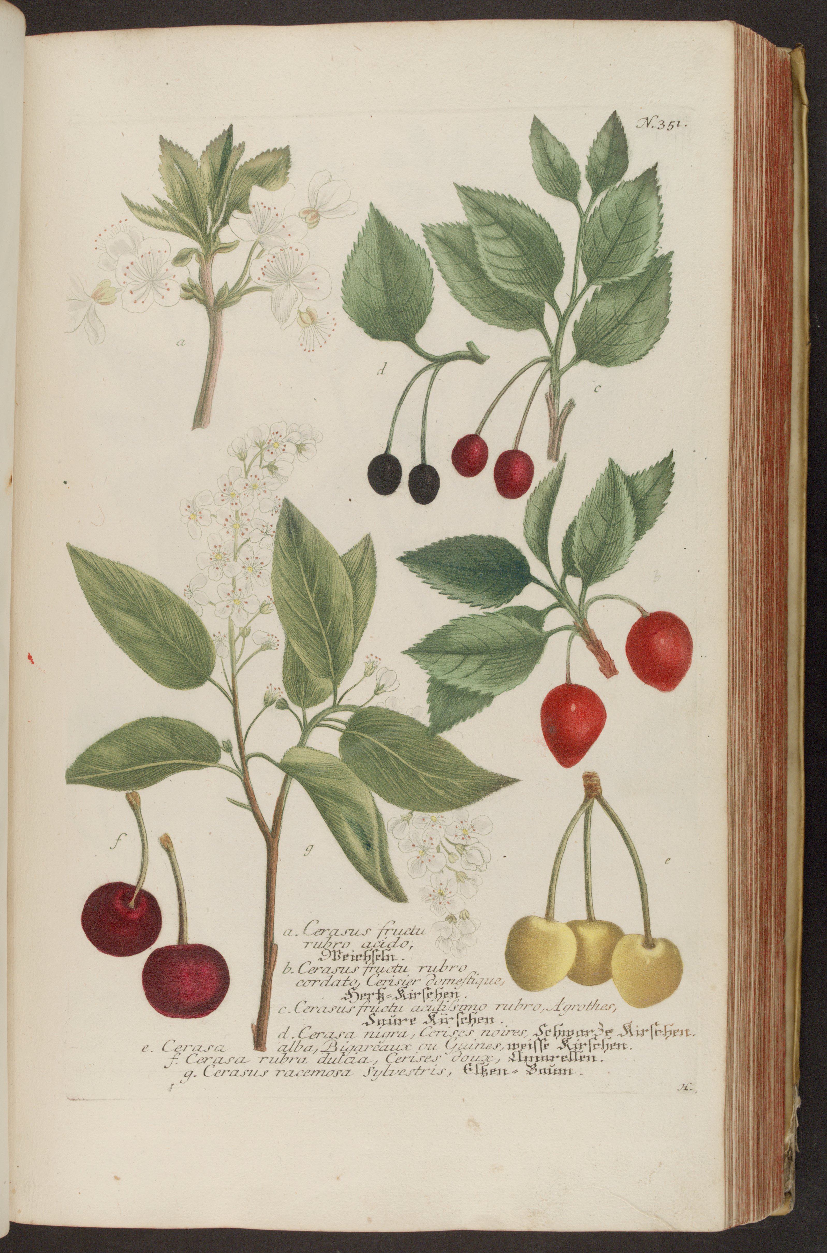 no full size  illustration available (3a)