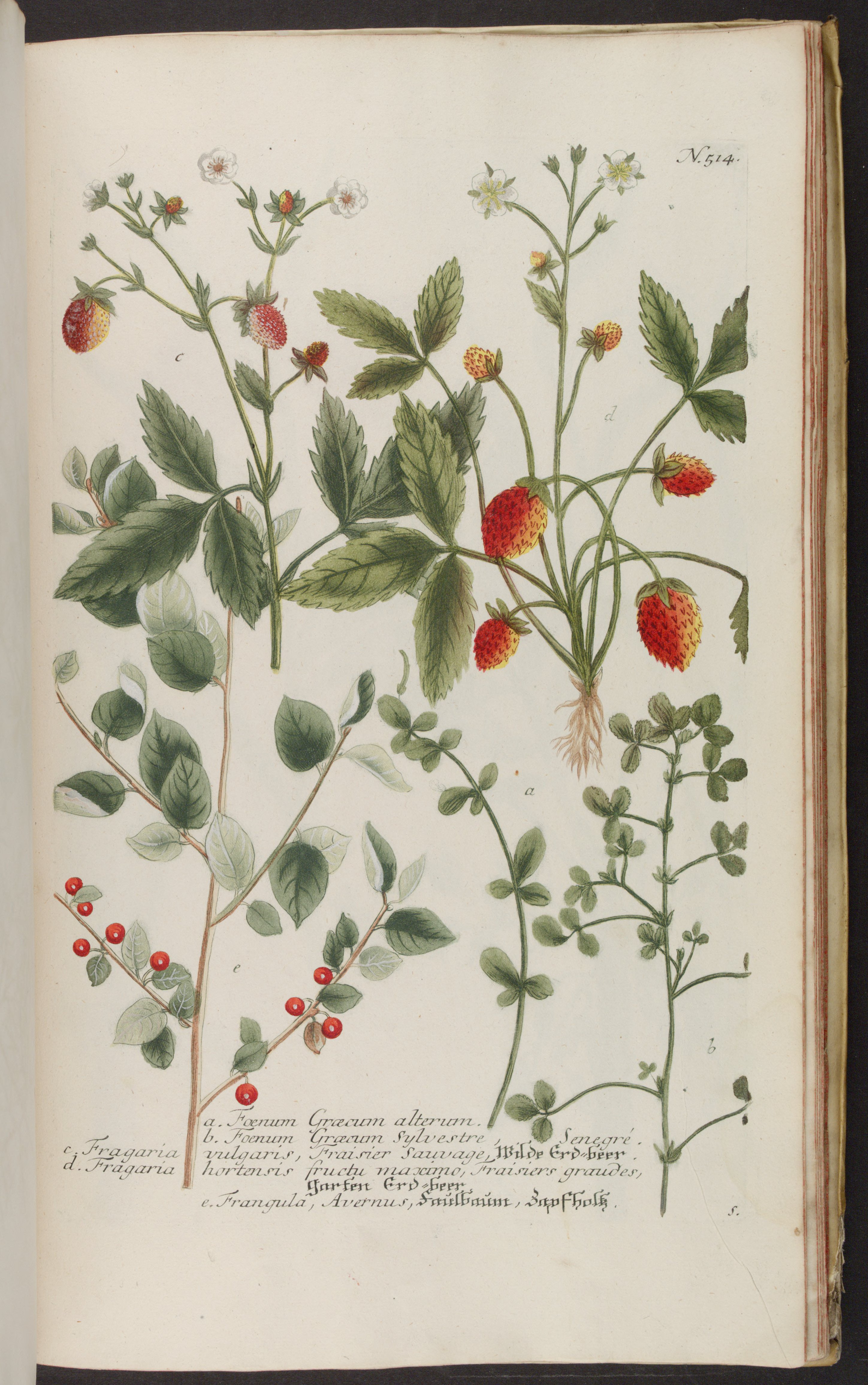 no full size  illustration available (3a)