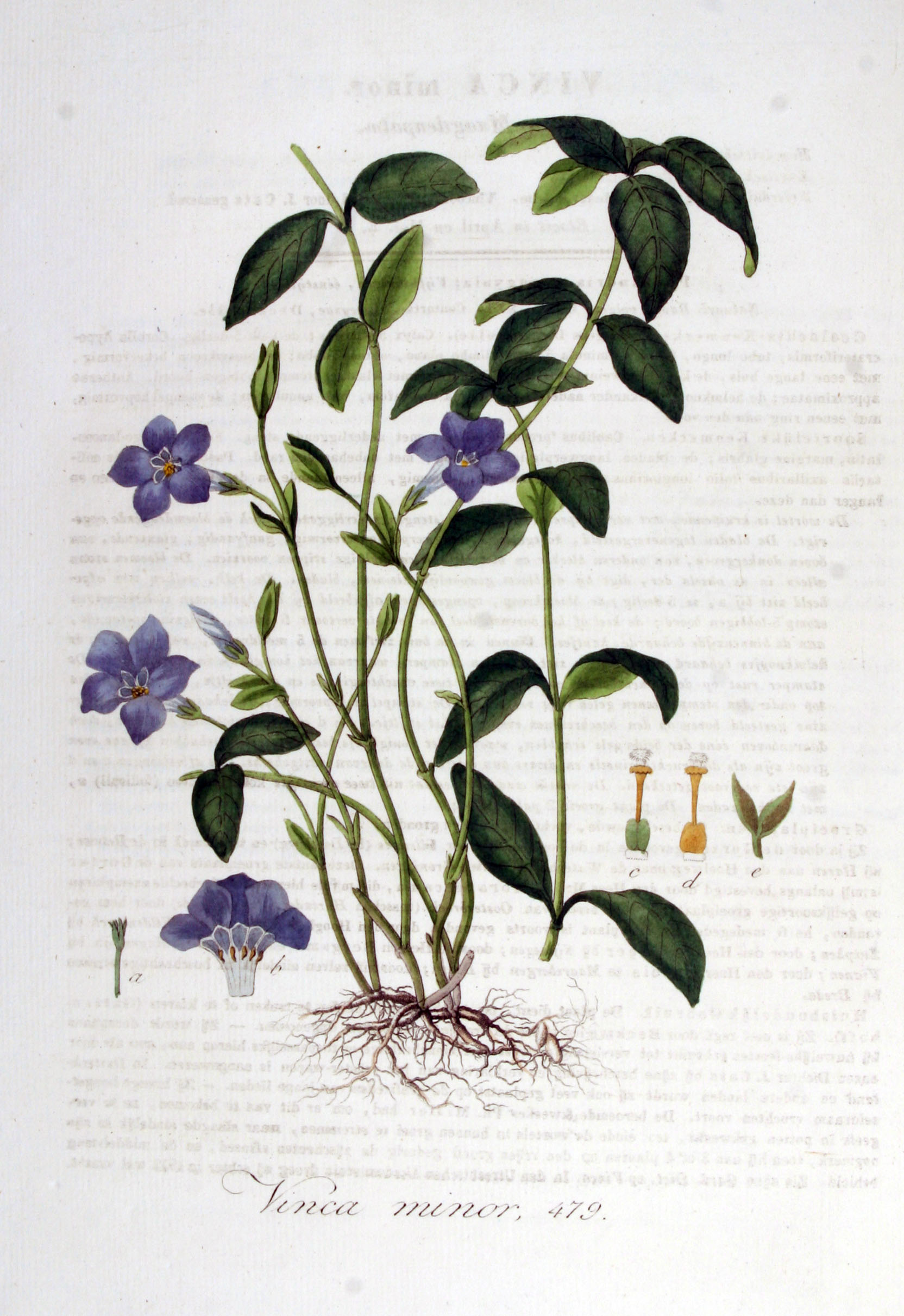 no full size  illustration available (3a)