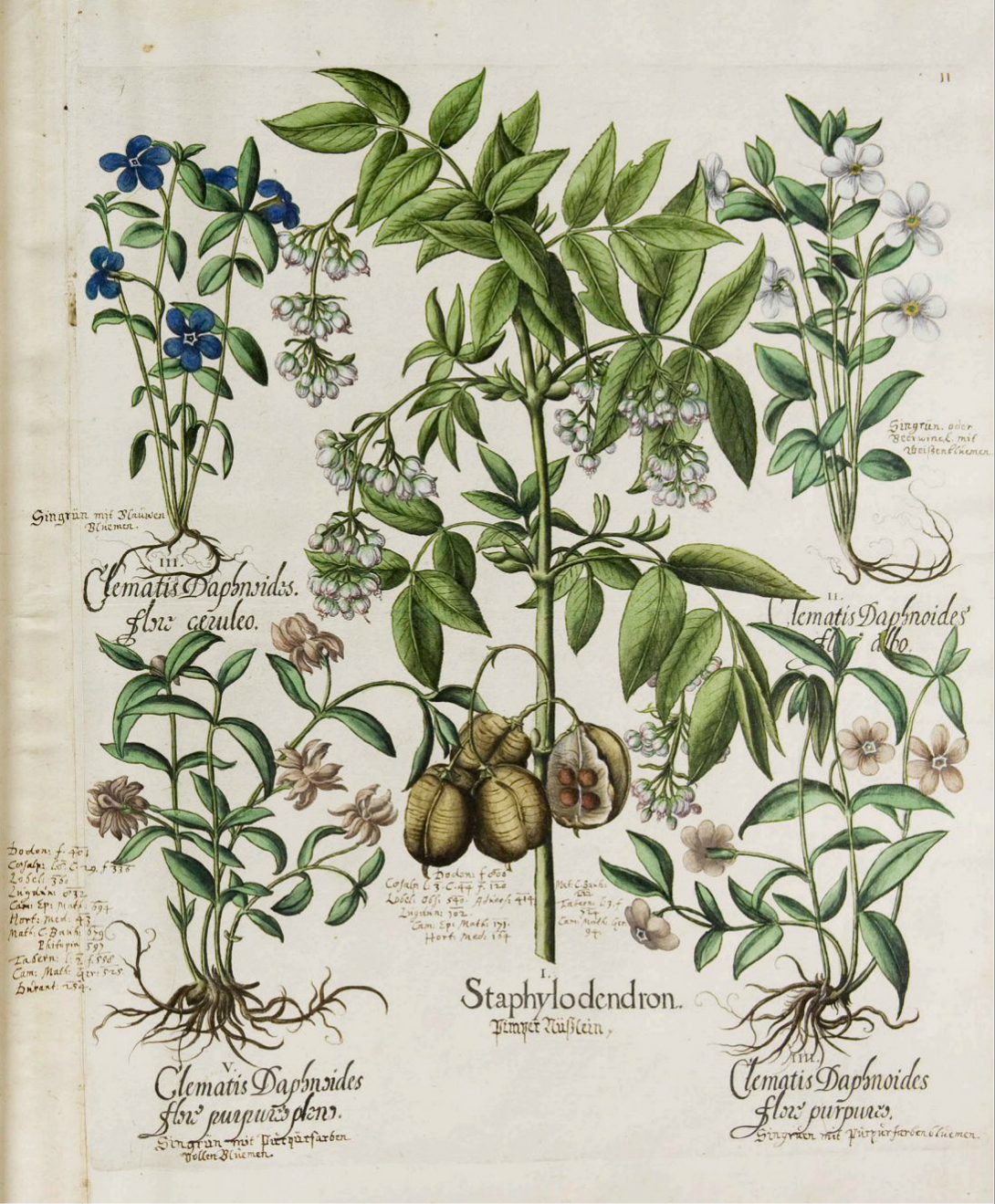 no full size  illustration available (3a)