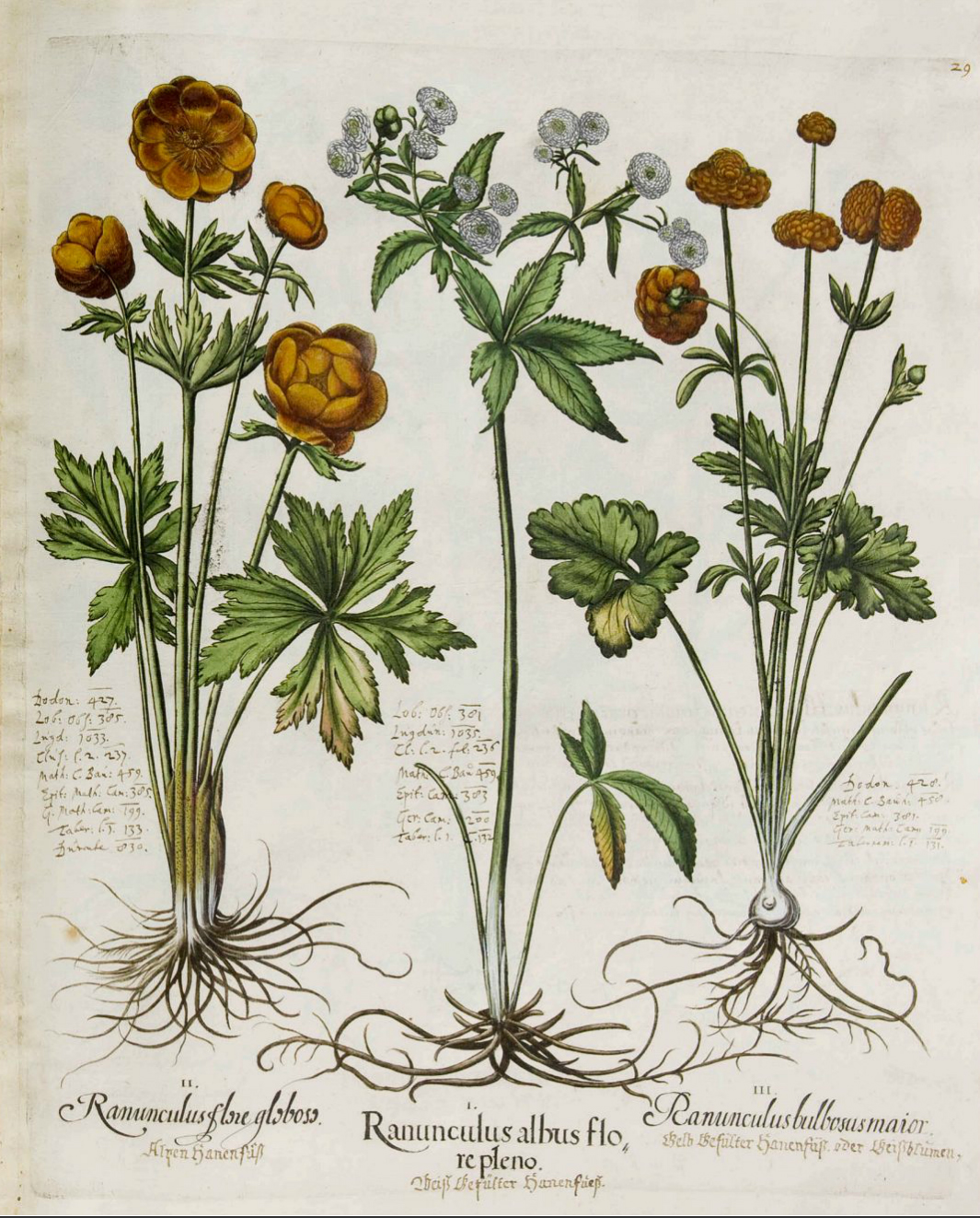 no full size  illustration available (3a)