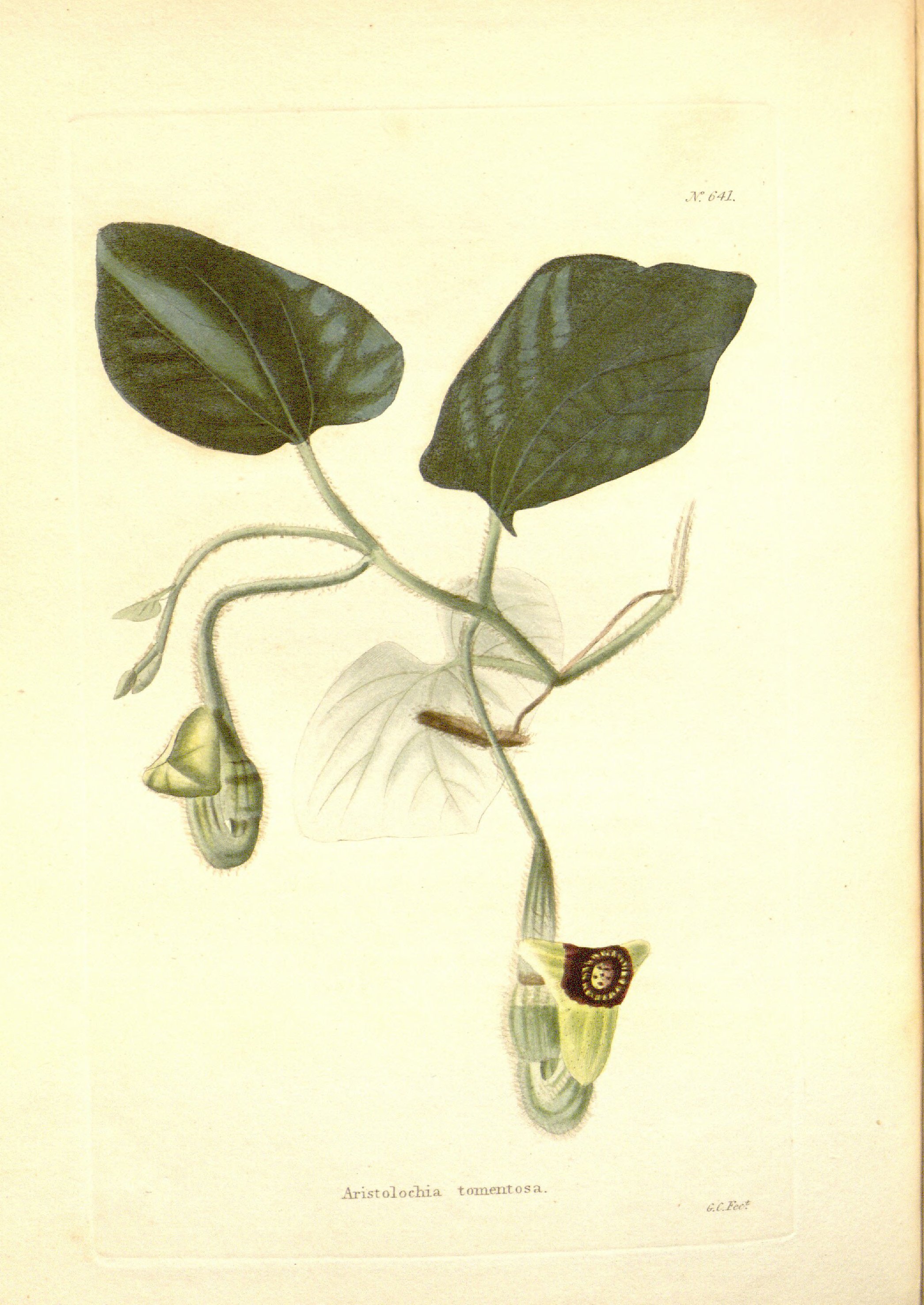 no full size  illustration available (3a)