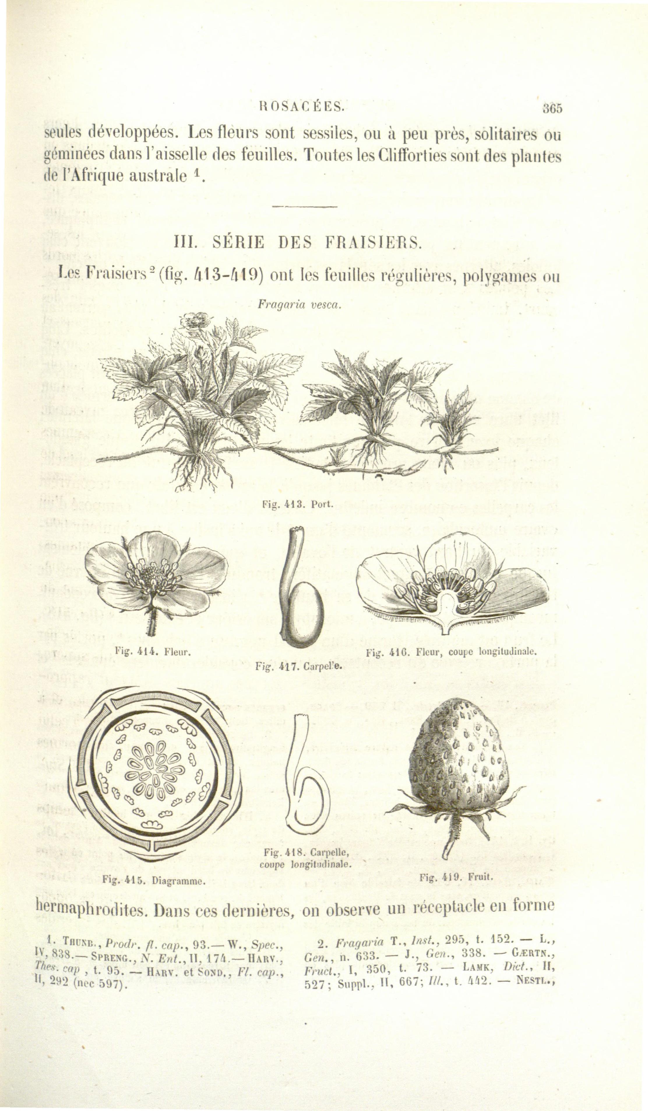 no full size  illustration available (3a)