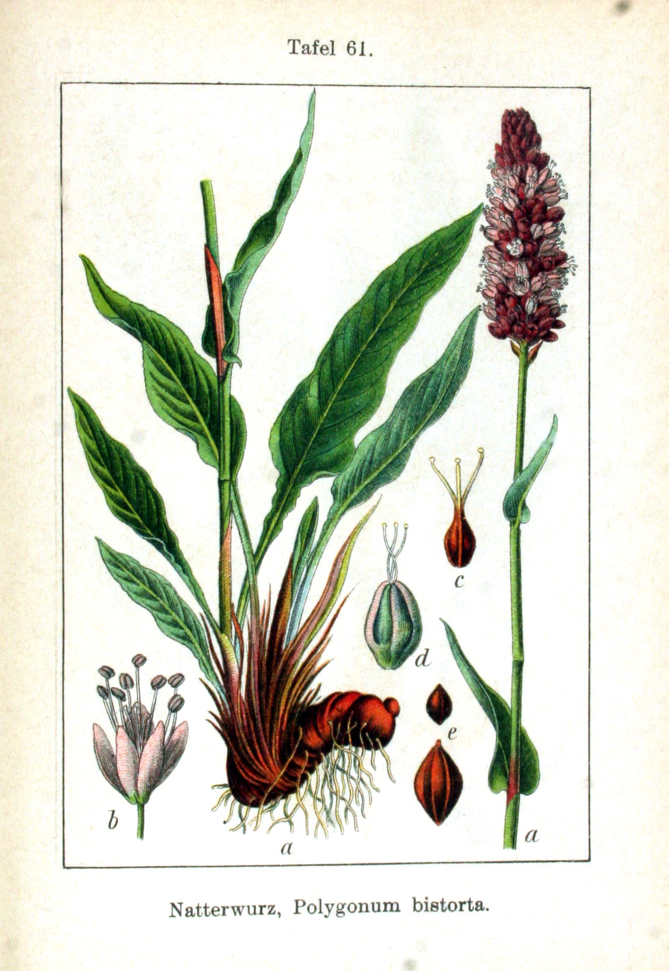 no full size  illustration available (3a)