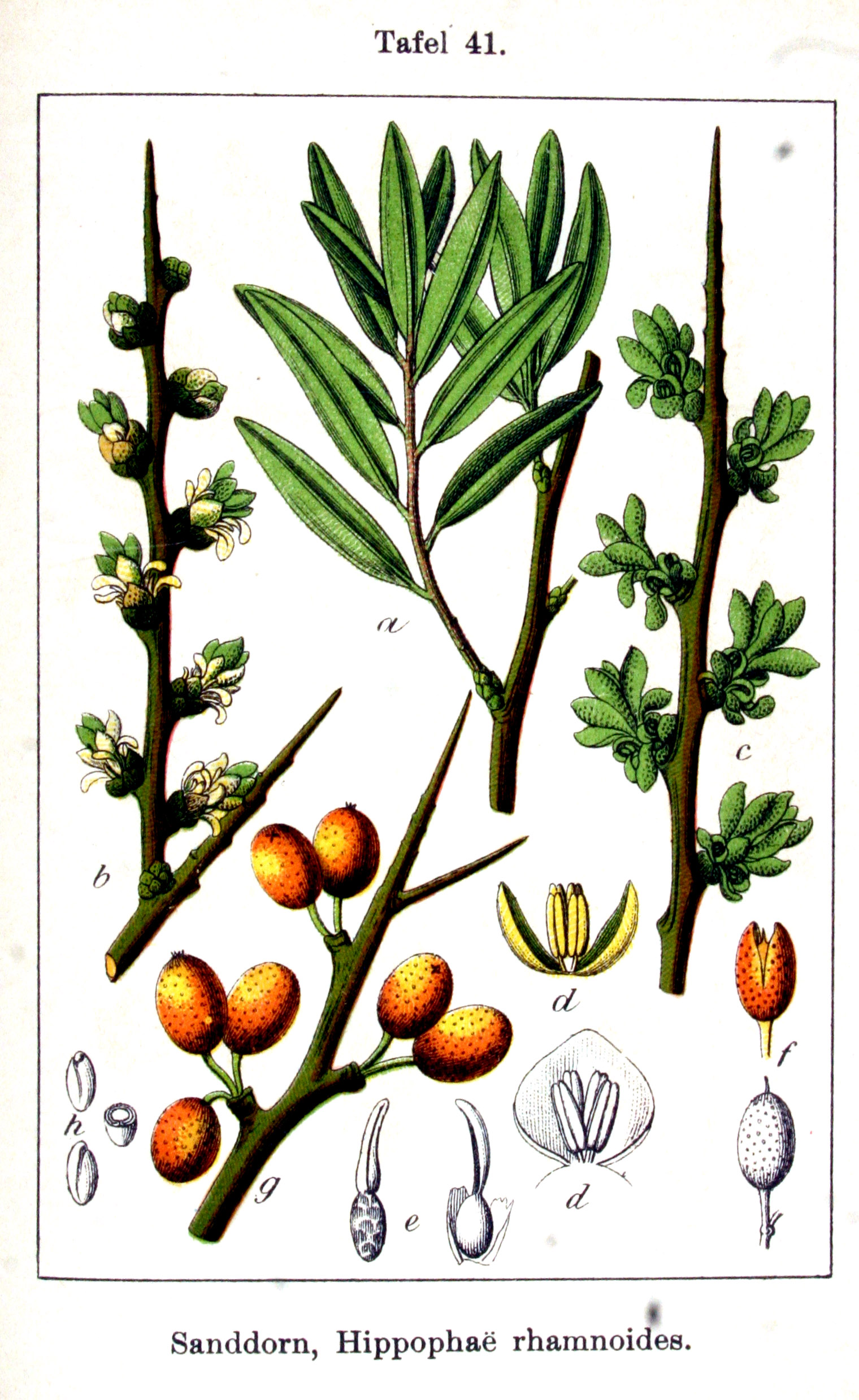 no full size  illustration available (3a)