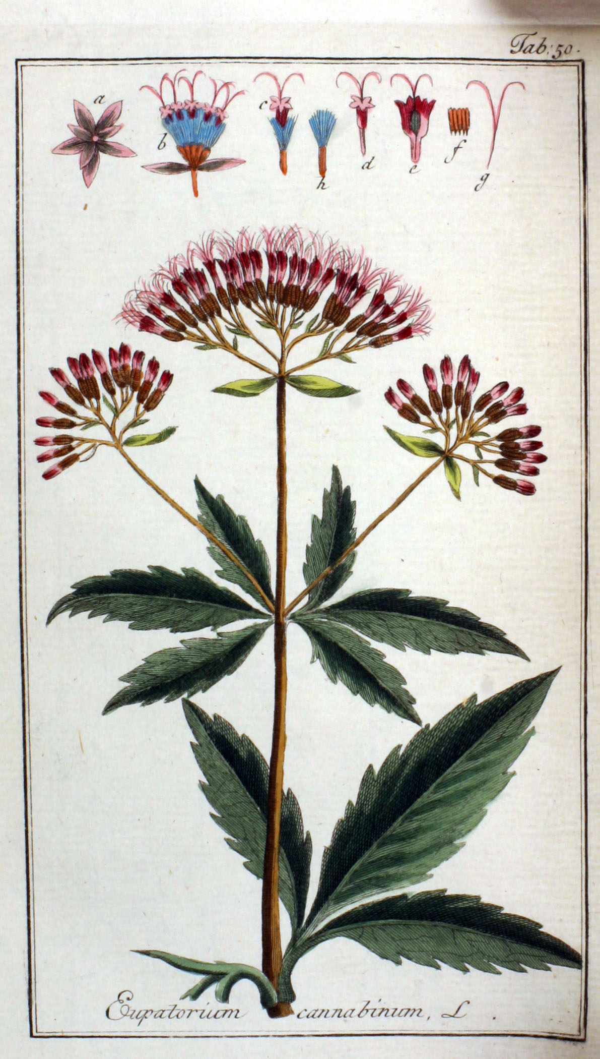 no full size  illustration available (3a)