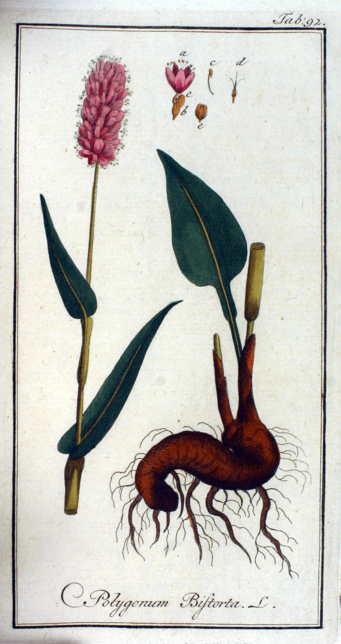 no full size  illustration available (3a)