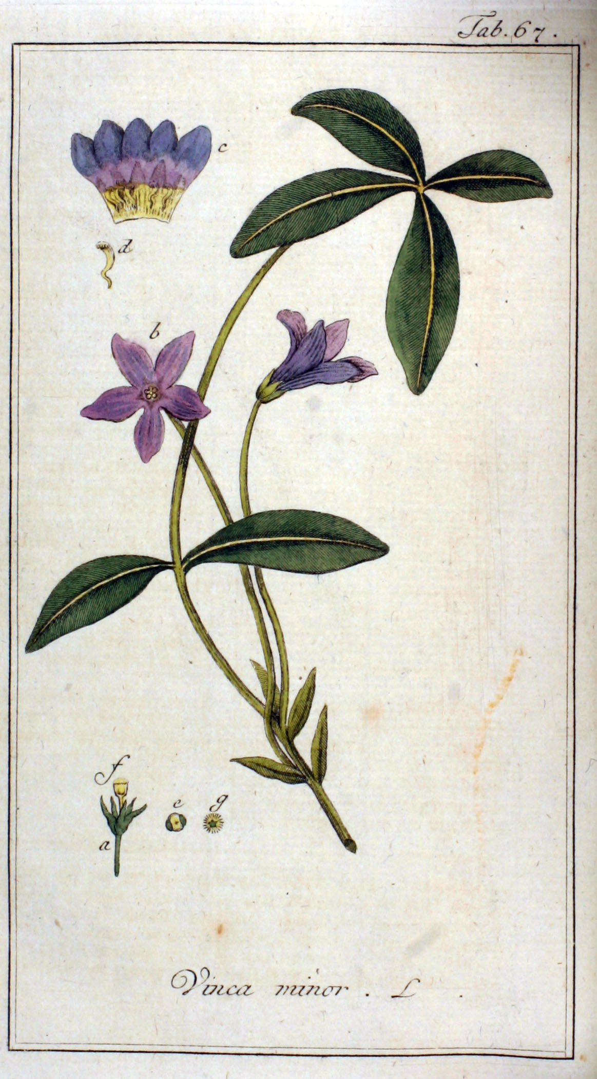 no full size  illustration available (3a)