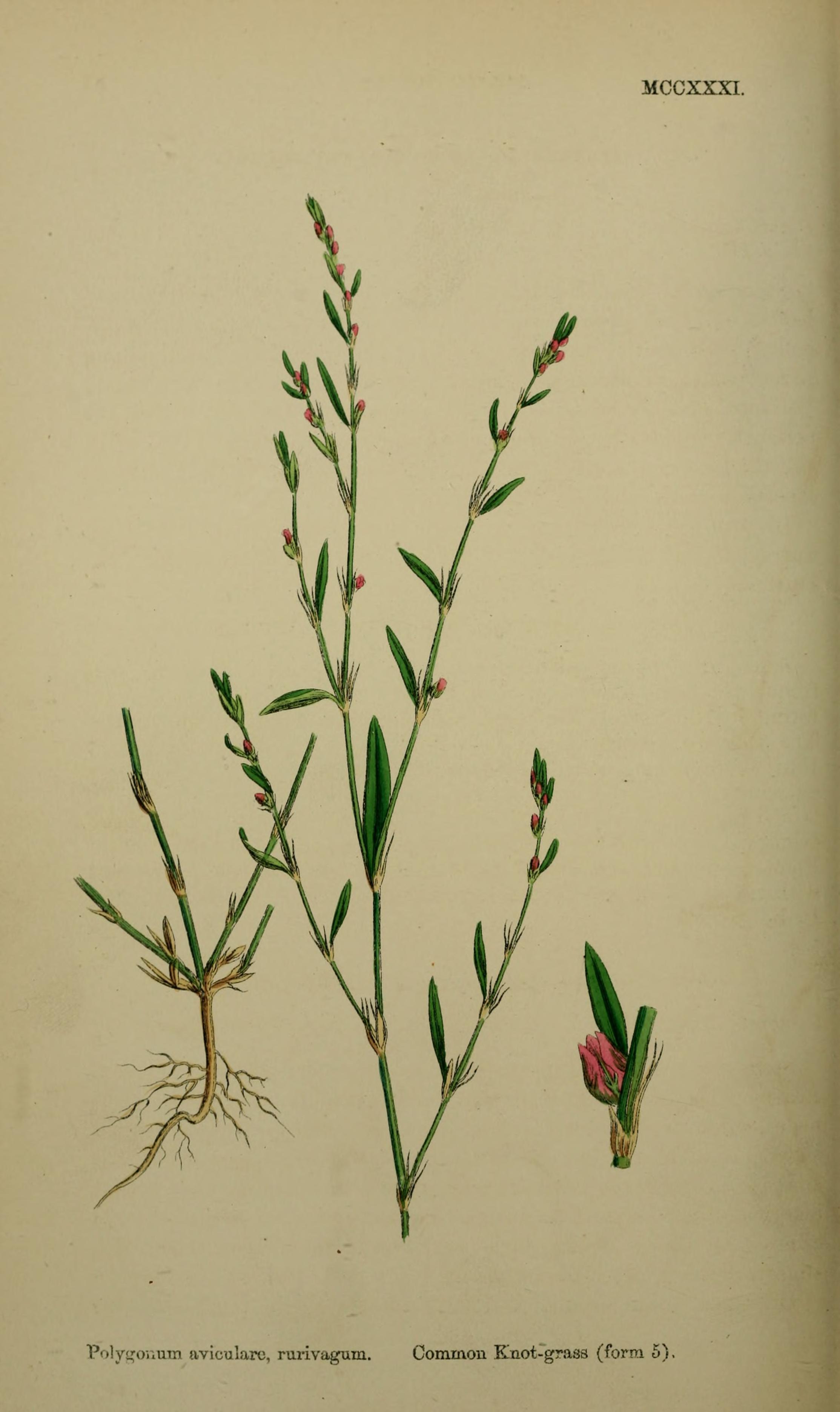 no full size  illustration available (3a)