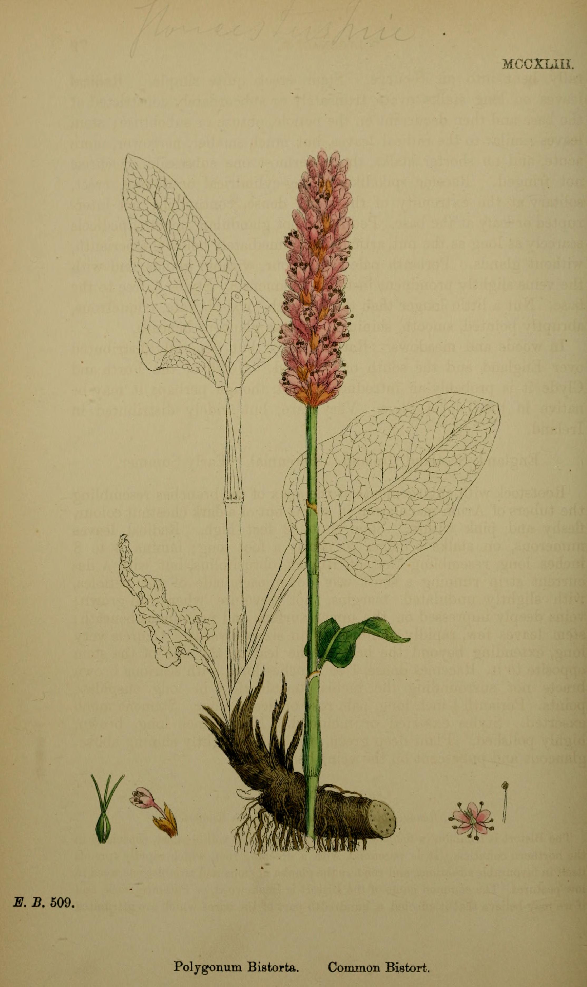 no full size  illustration available (3a)