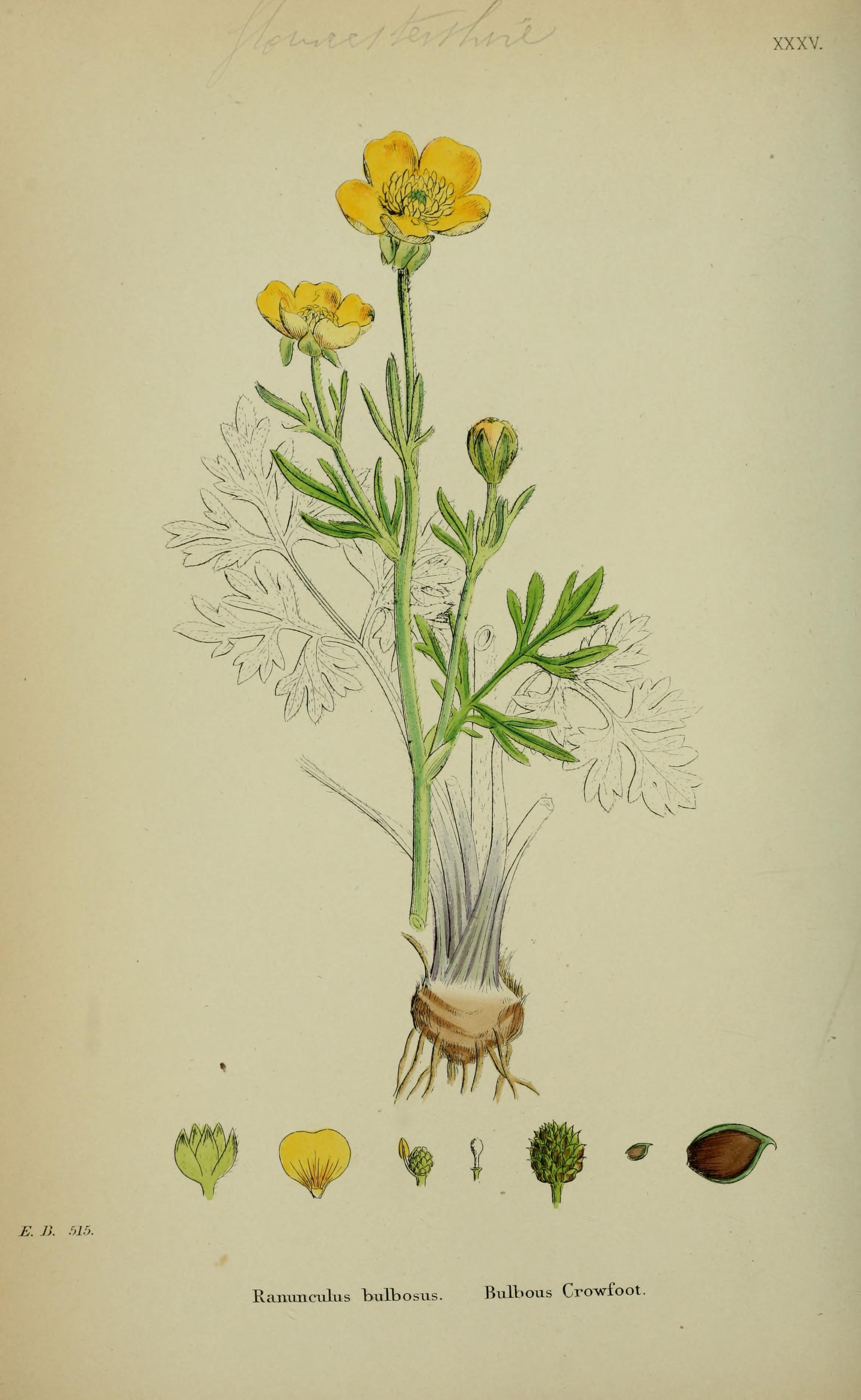 no full size  illustration available (3a)