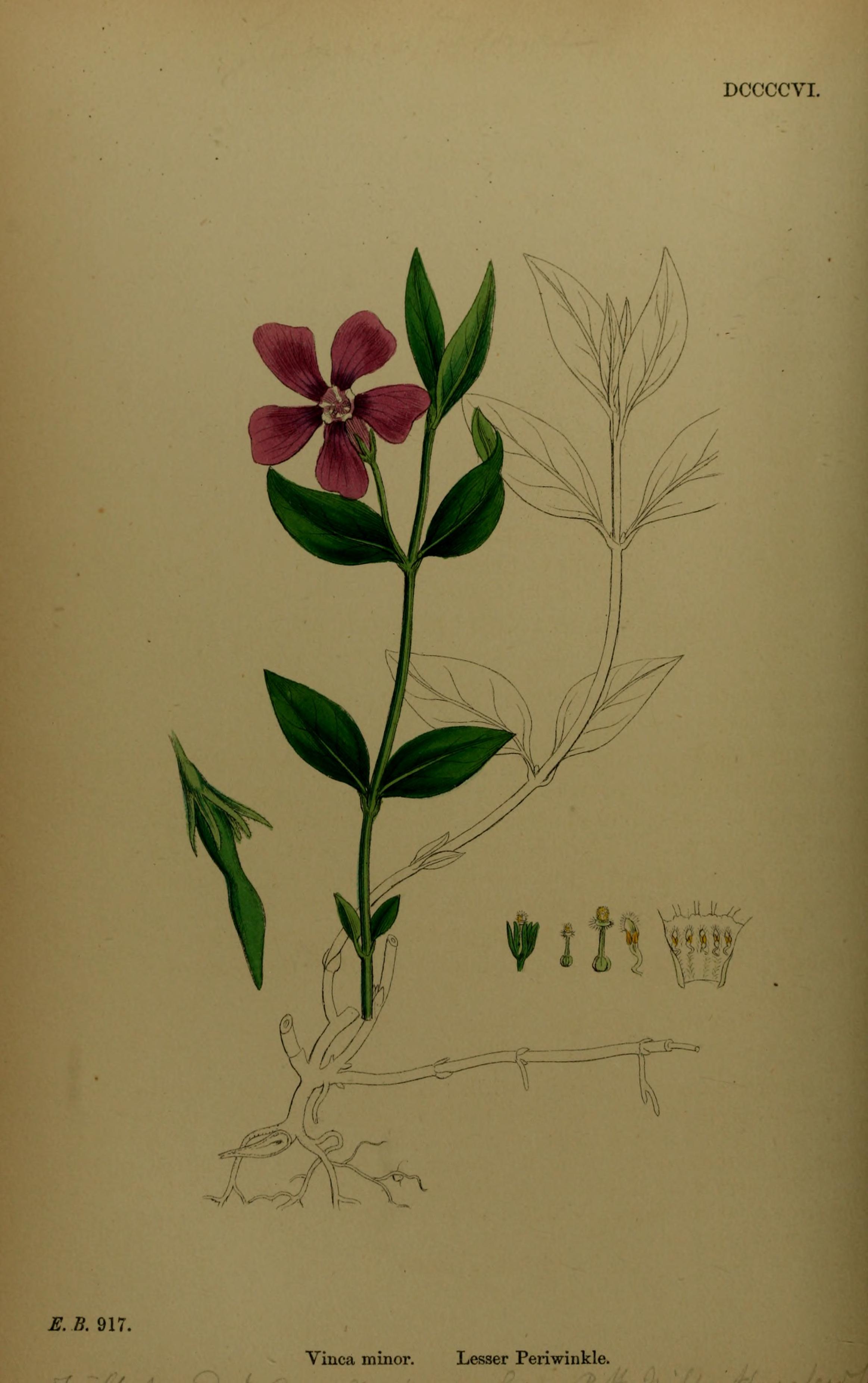 no full size  illustration available (3a)