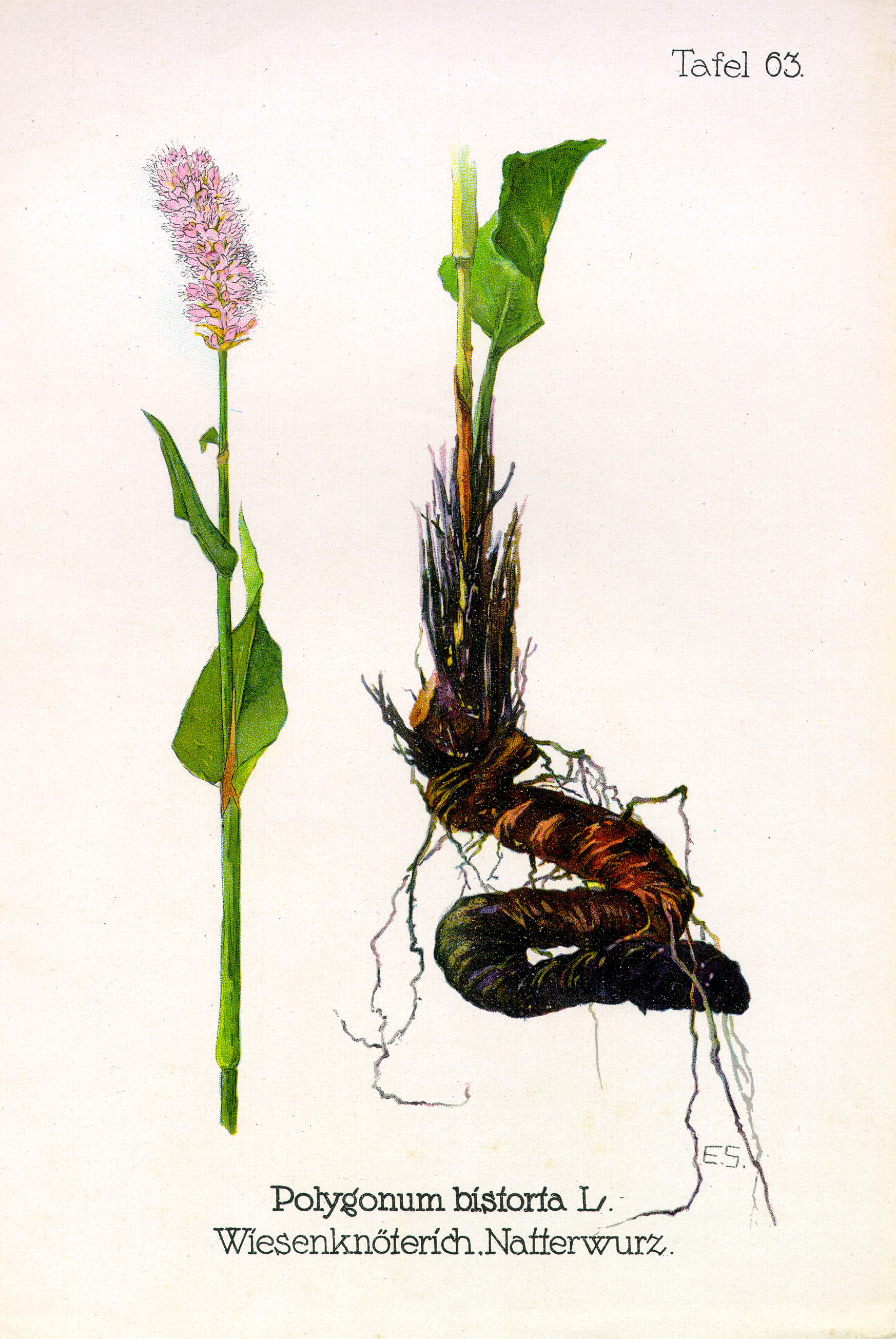 no full size  illustration available (3a)