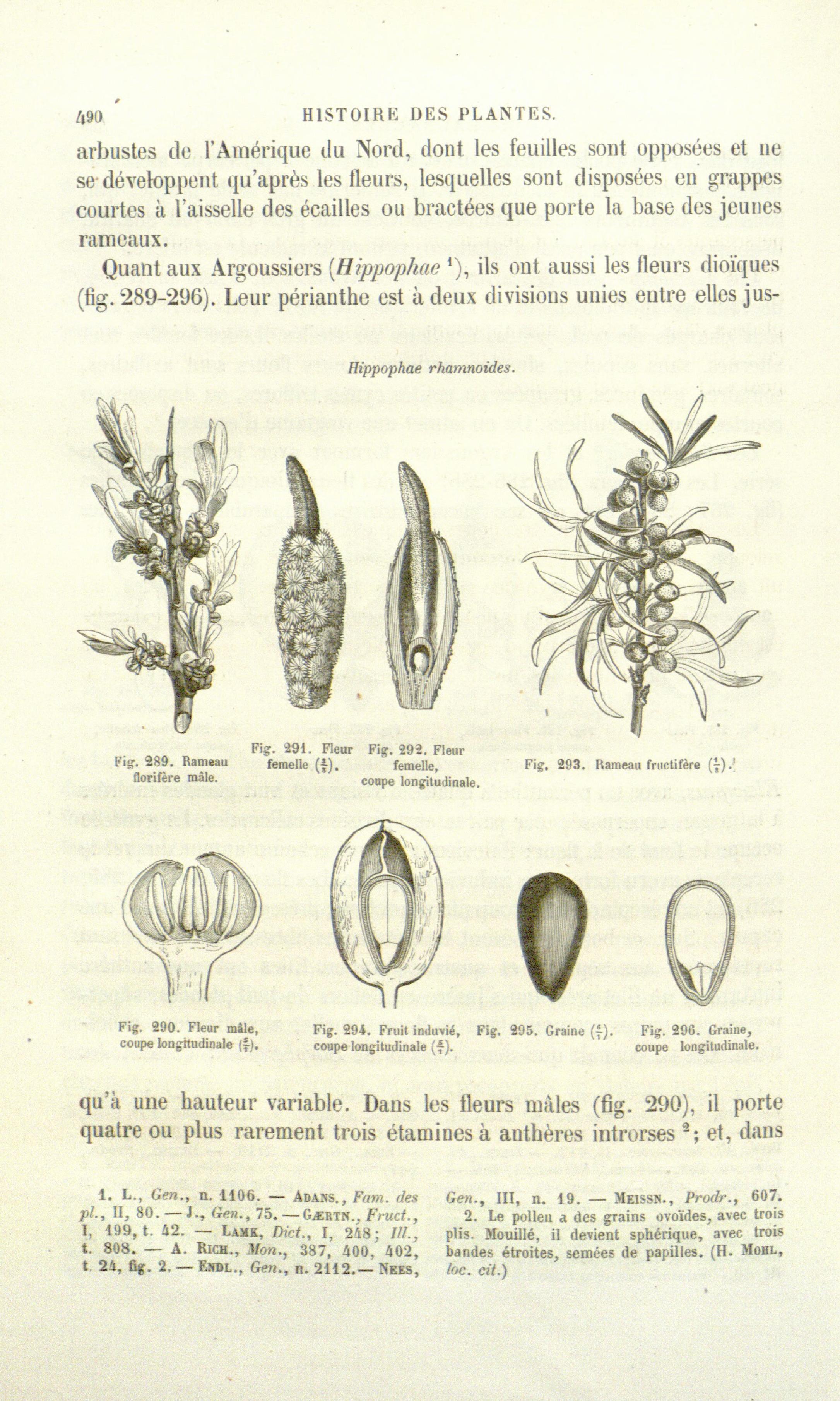 no full size  illustration available (3a)