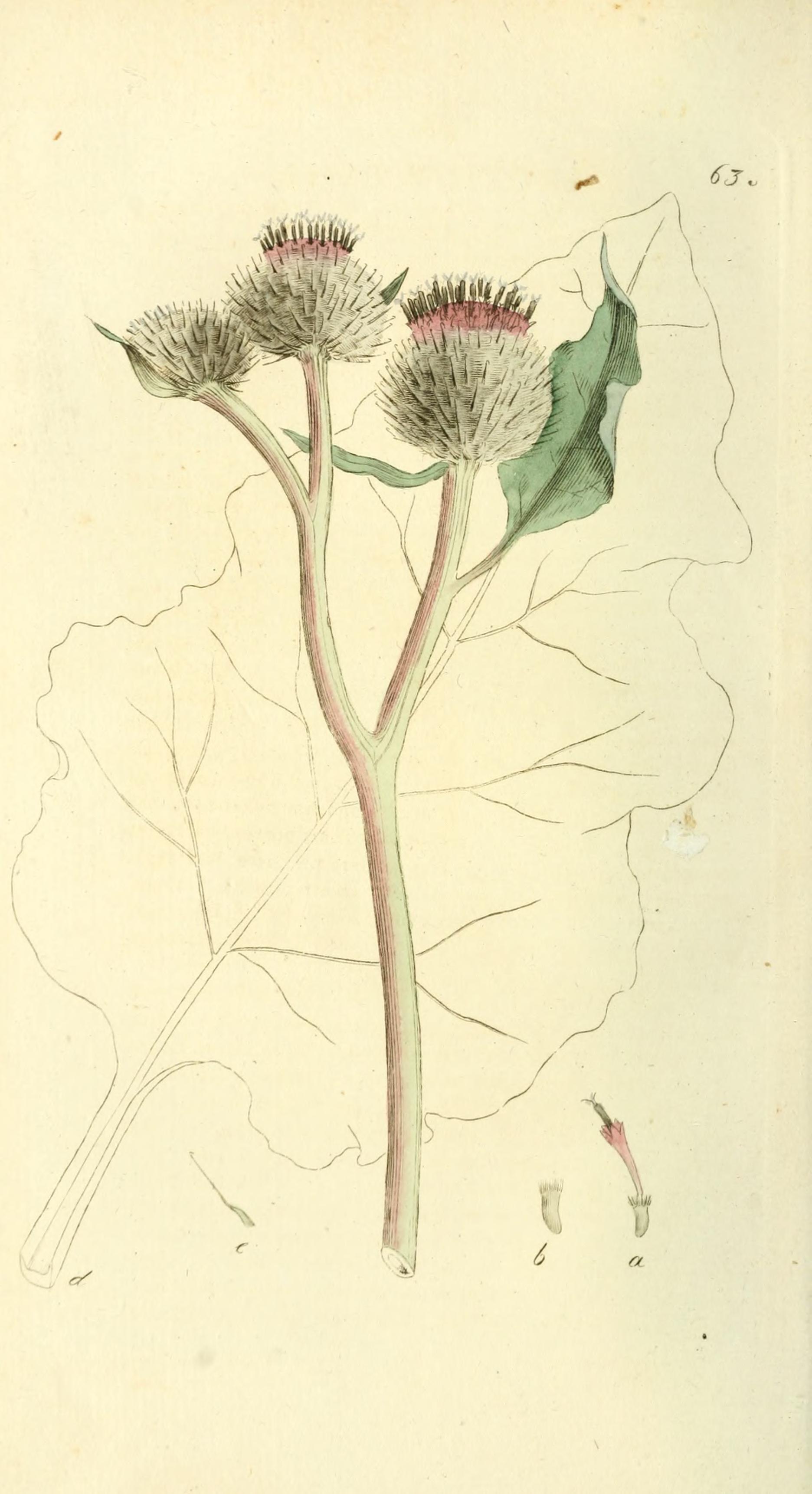 no full size  illustration available (3a)