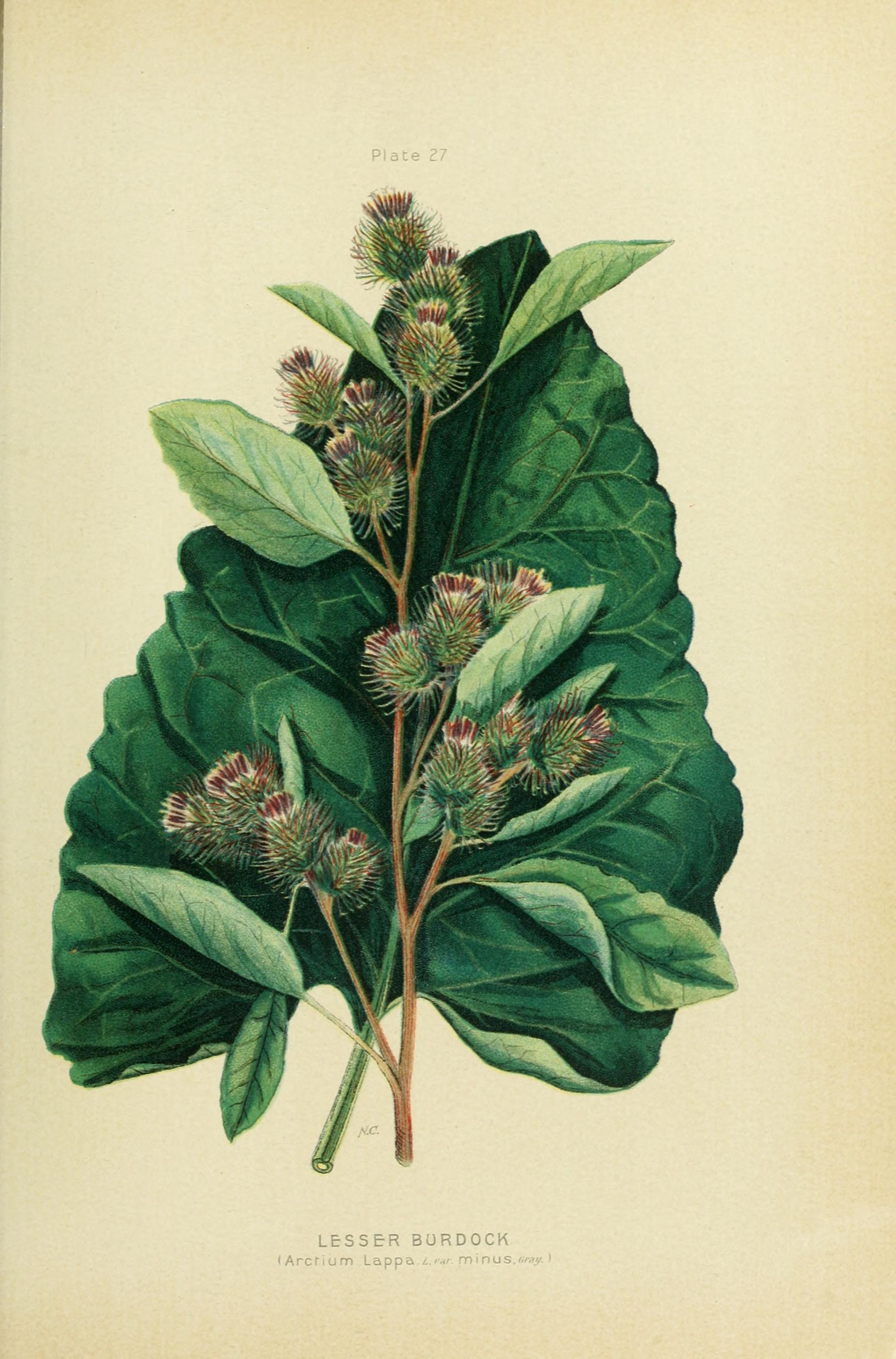 no full size  illustration available (3a)