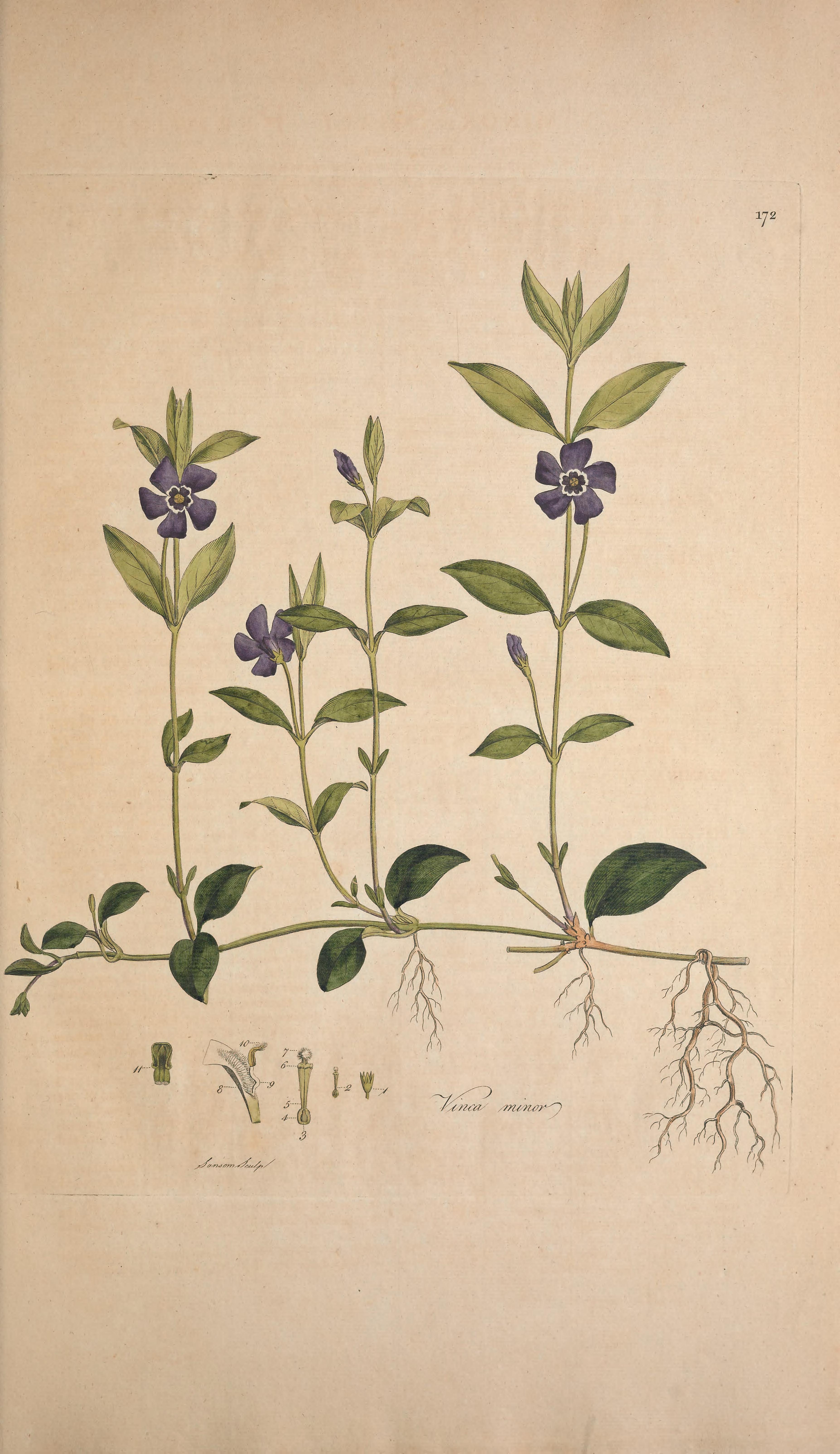 no full size  illustration available (3a)