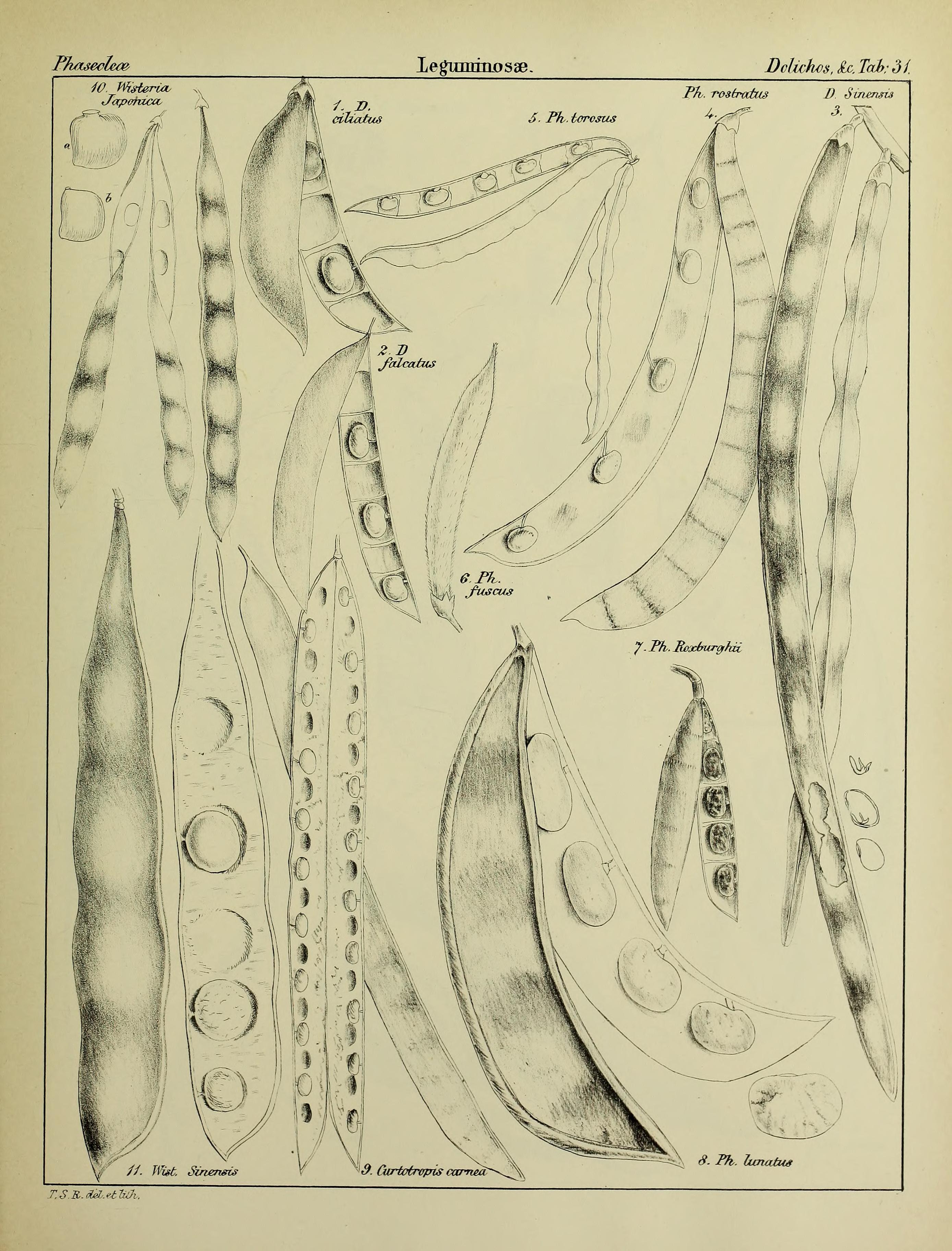 no full size  illustration available (3a)