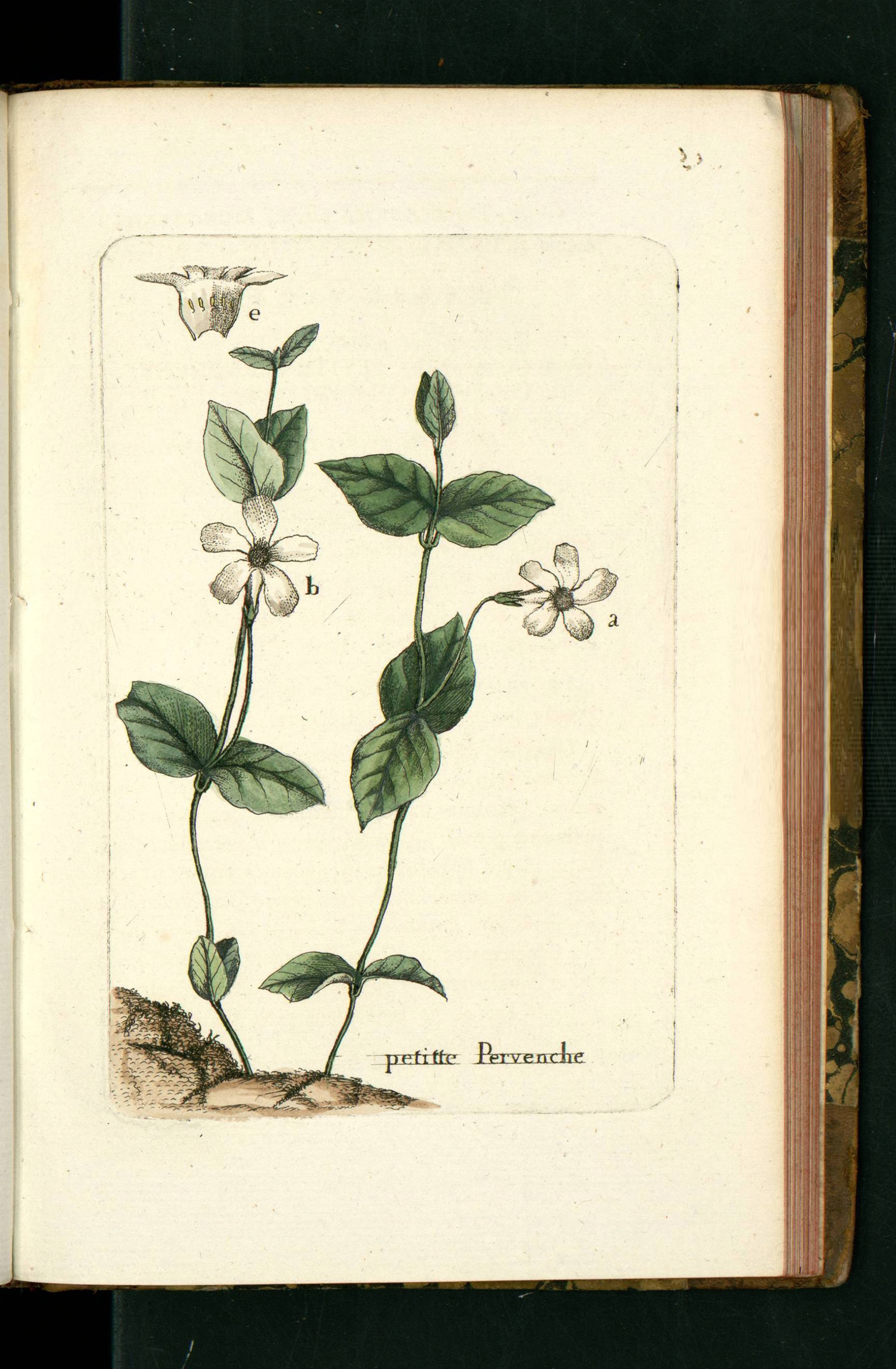 no full size  illustration available (3a)