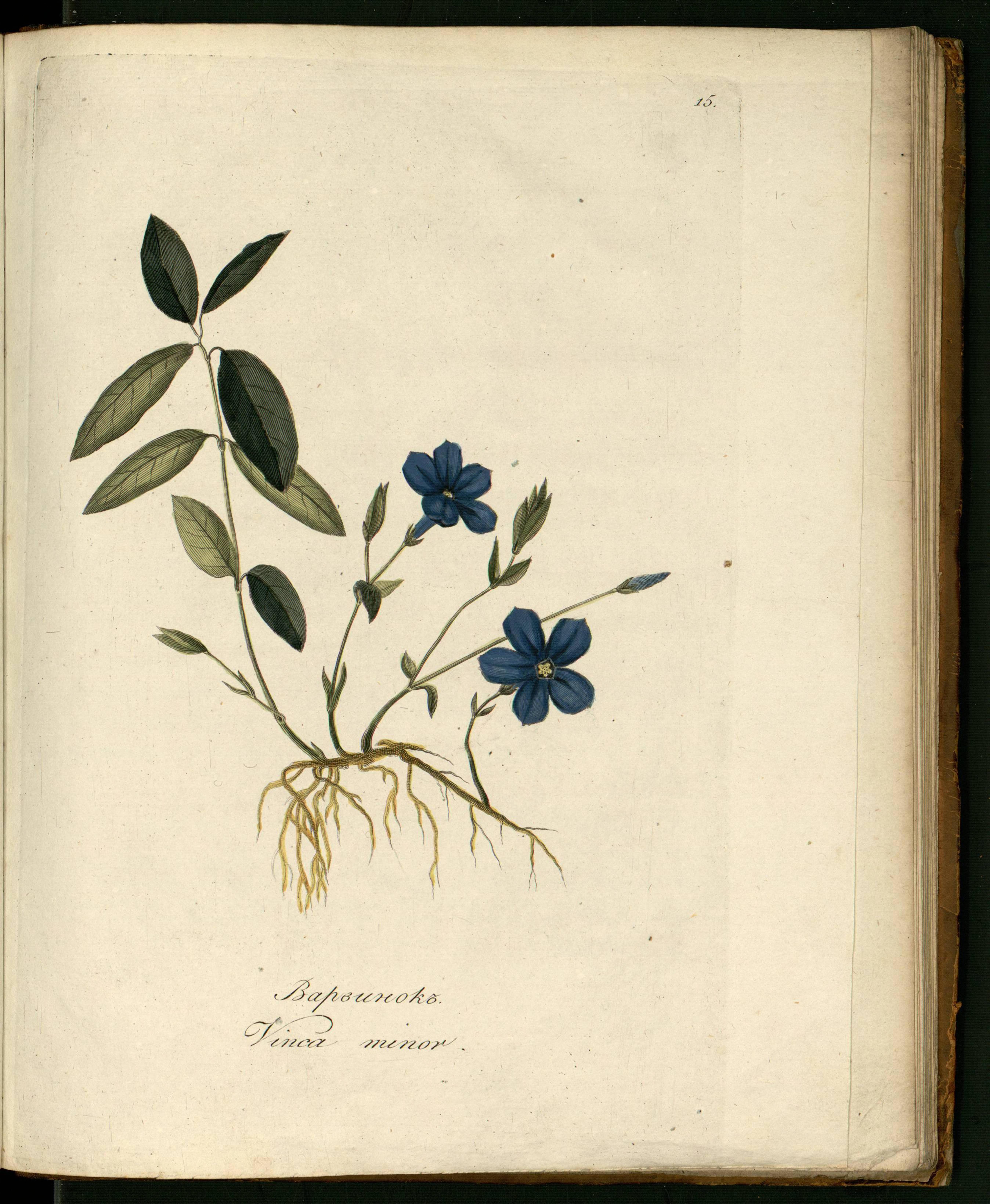 no full size  illustration available (3a)