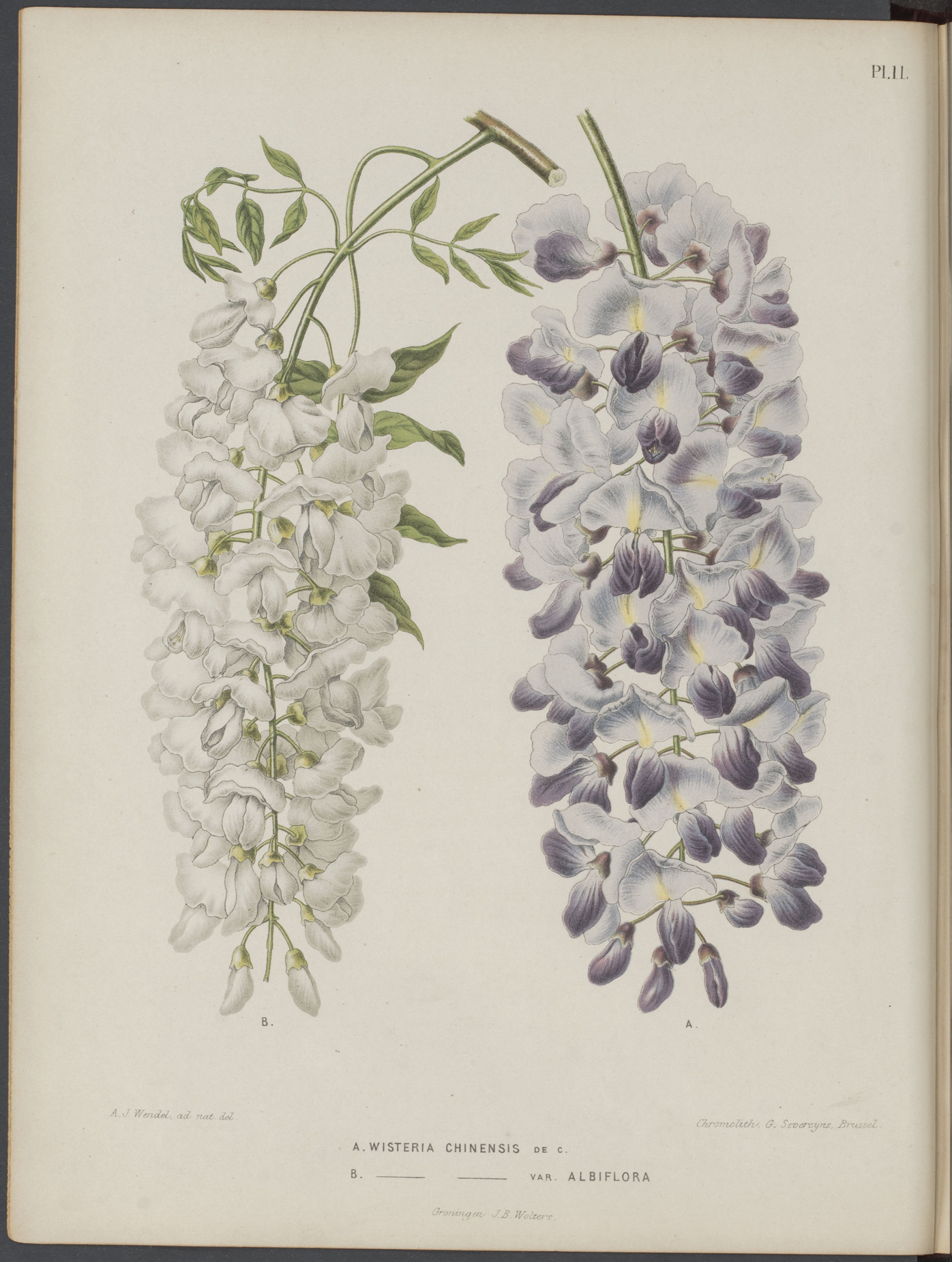 no full size  illustration available (3a)