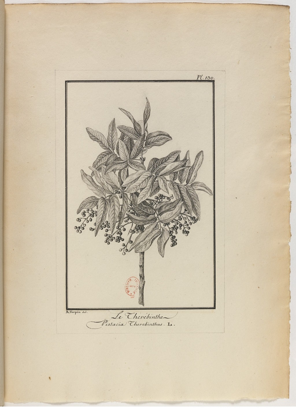 no full size  illustration available (3a)