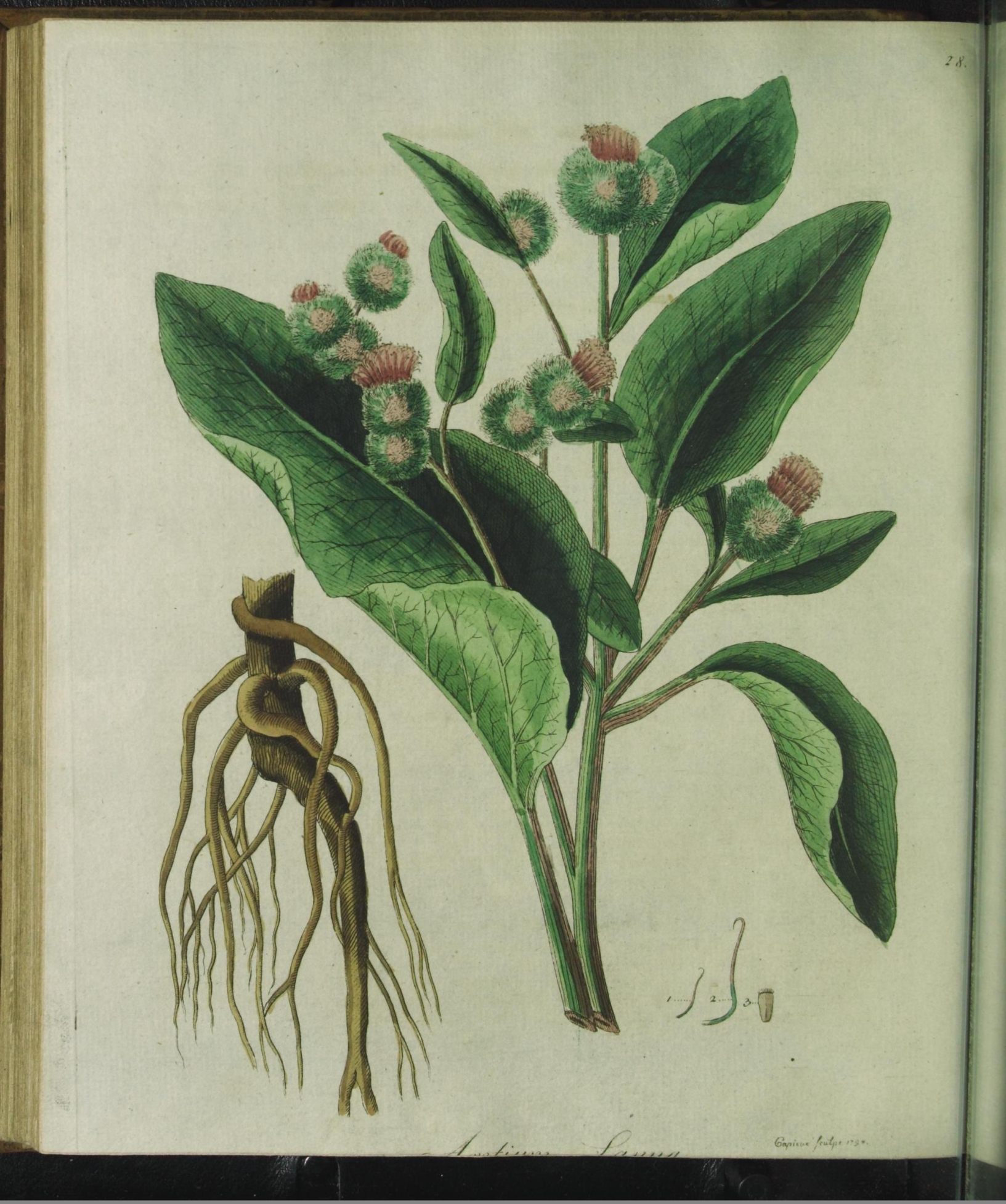 no full size  illustration available (3a)