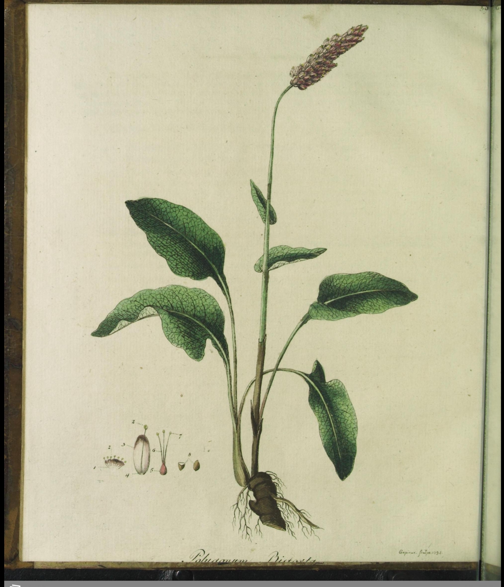 no full size  illustration available (3a)