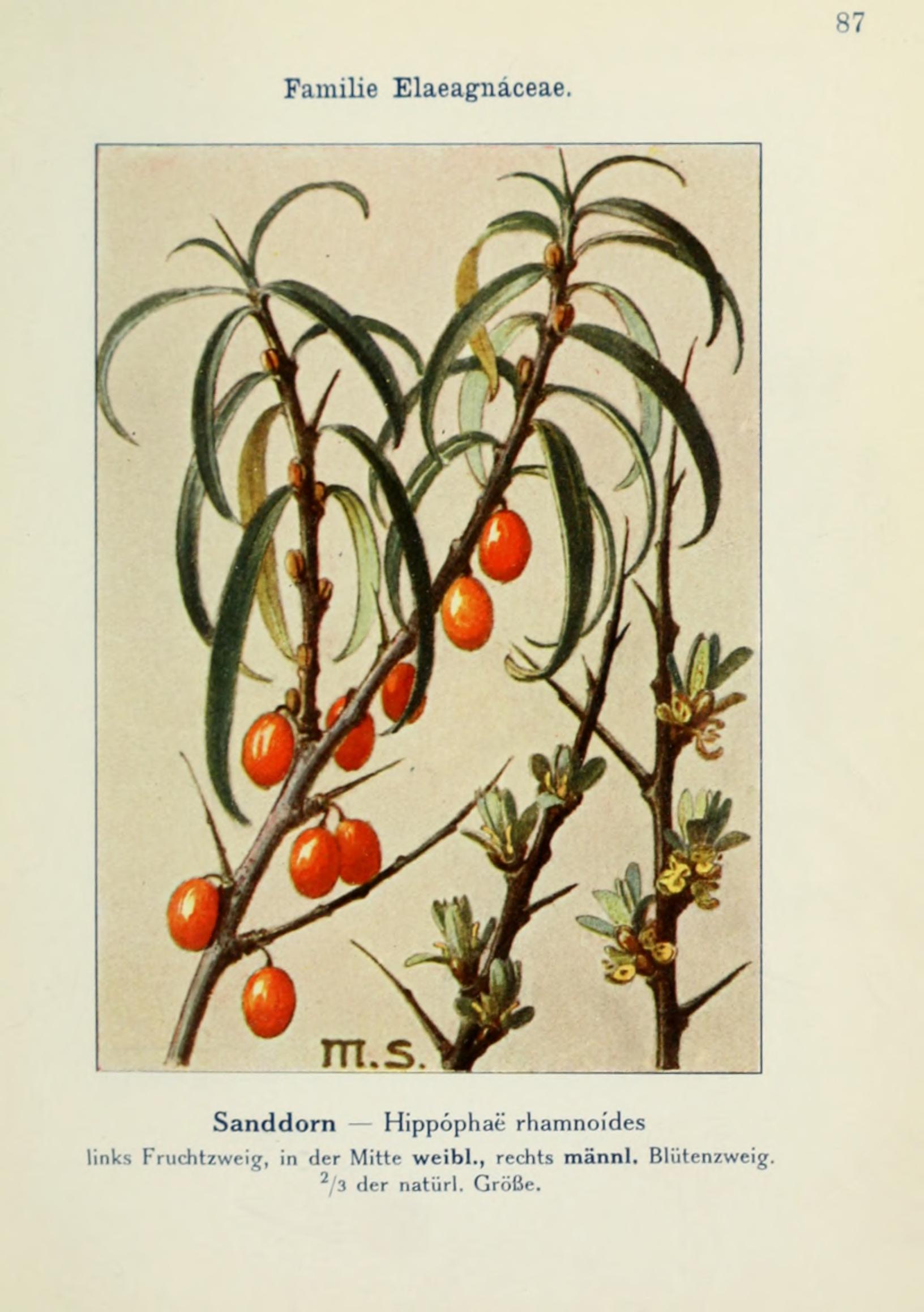 no full size  illustration available (3a)