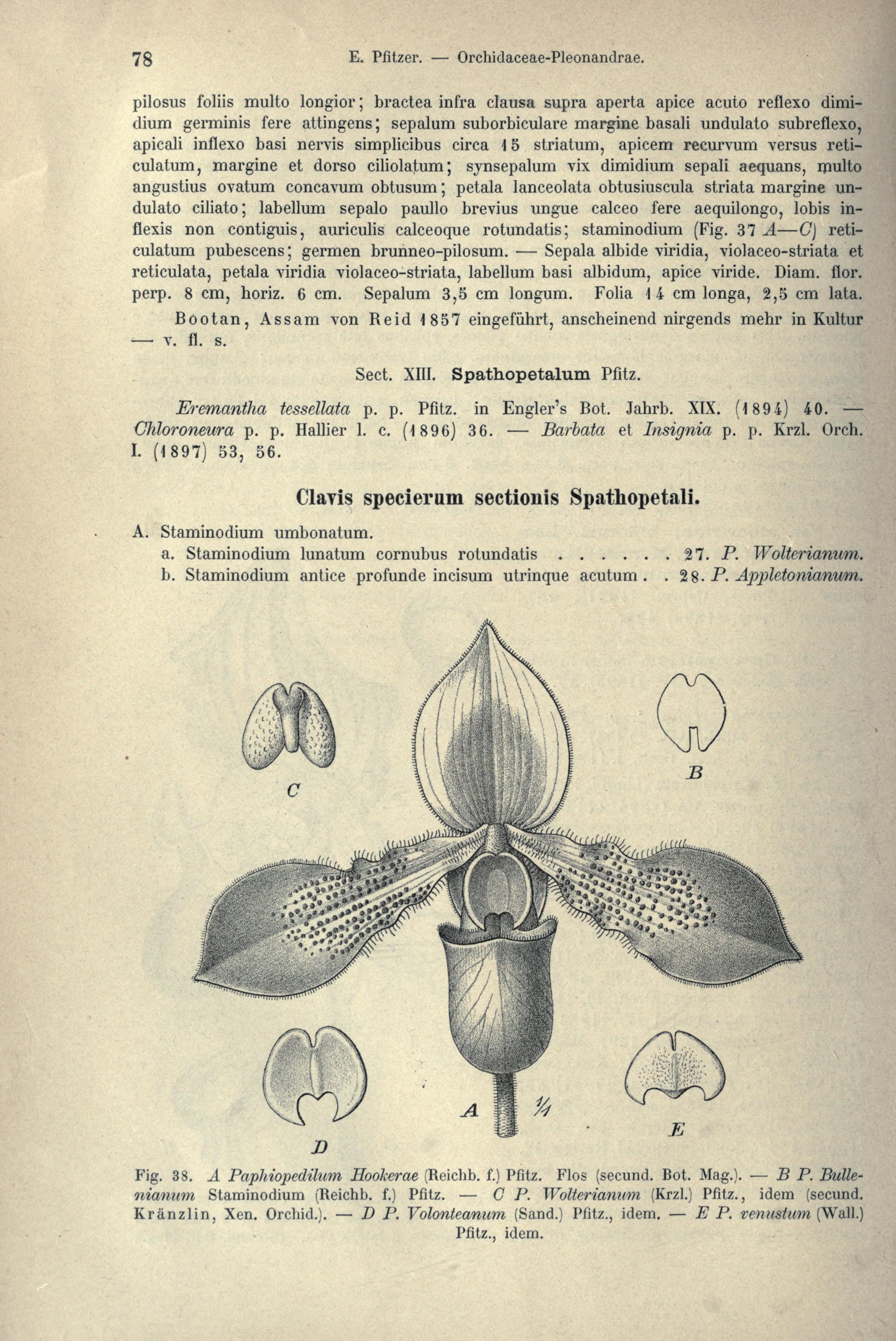 no full size  illustration available (3a)