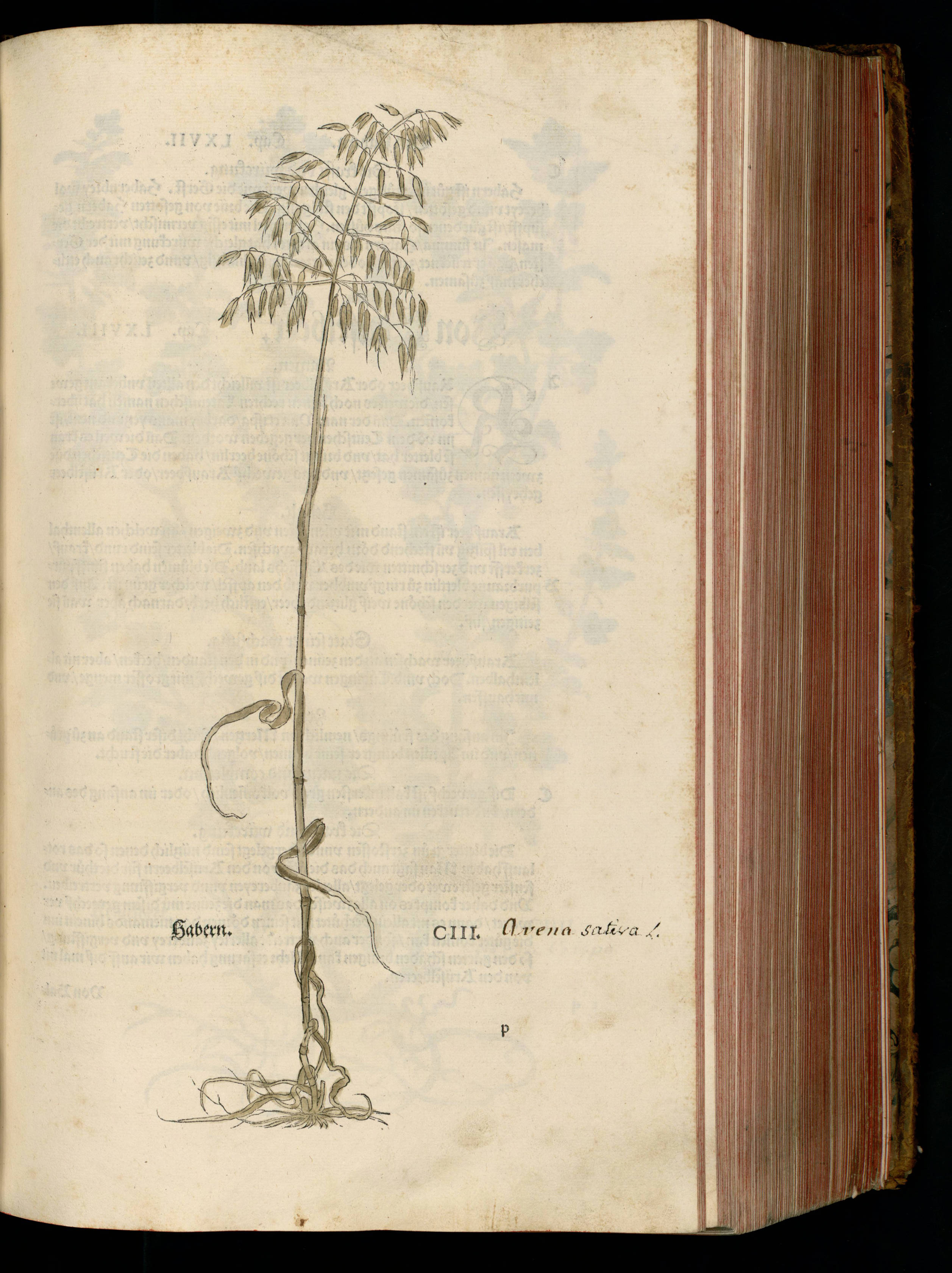 no full size  illustration available (3a)