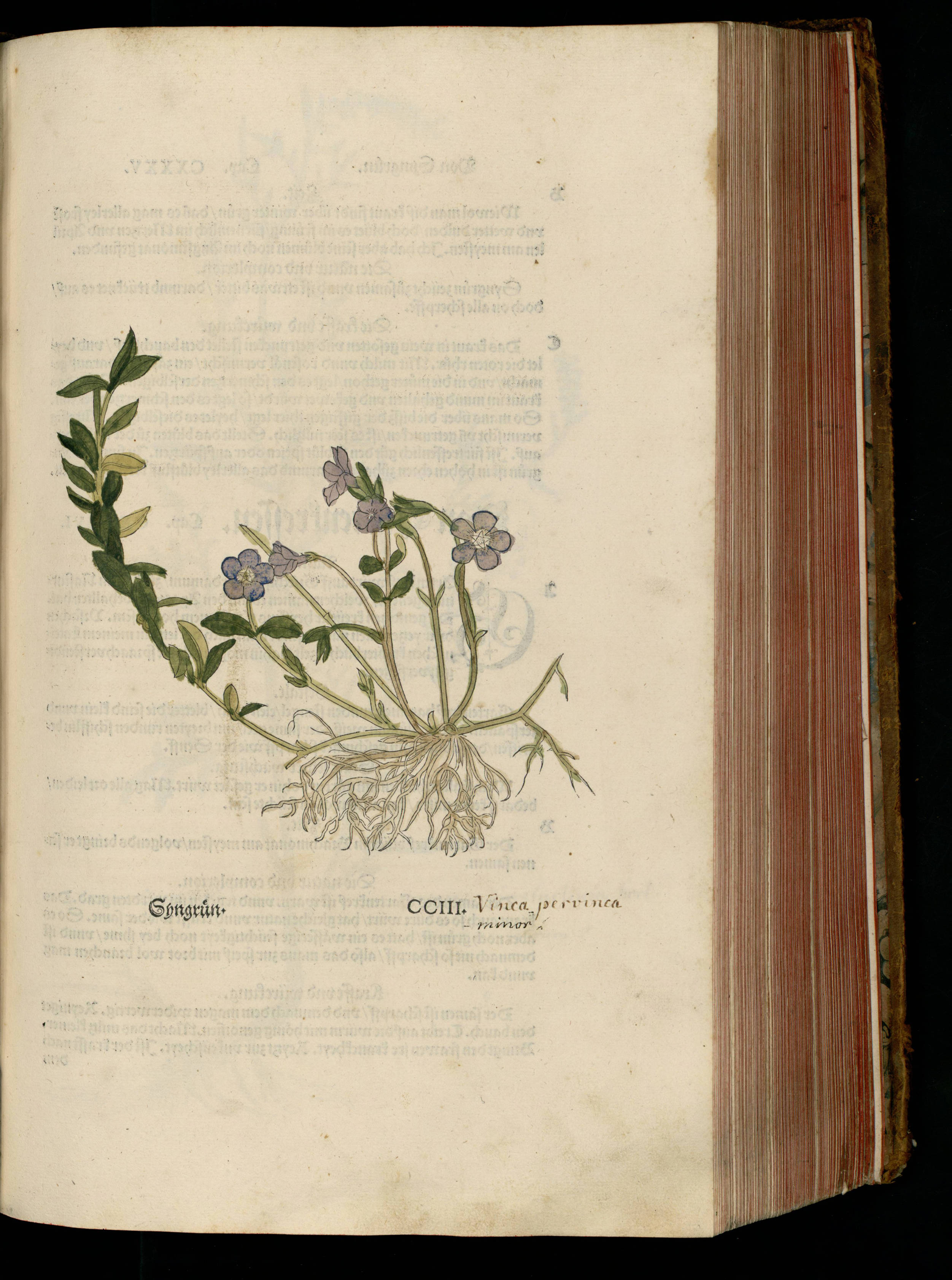 no full size  illustration available (3a)