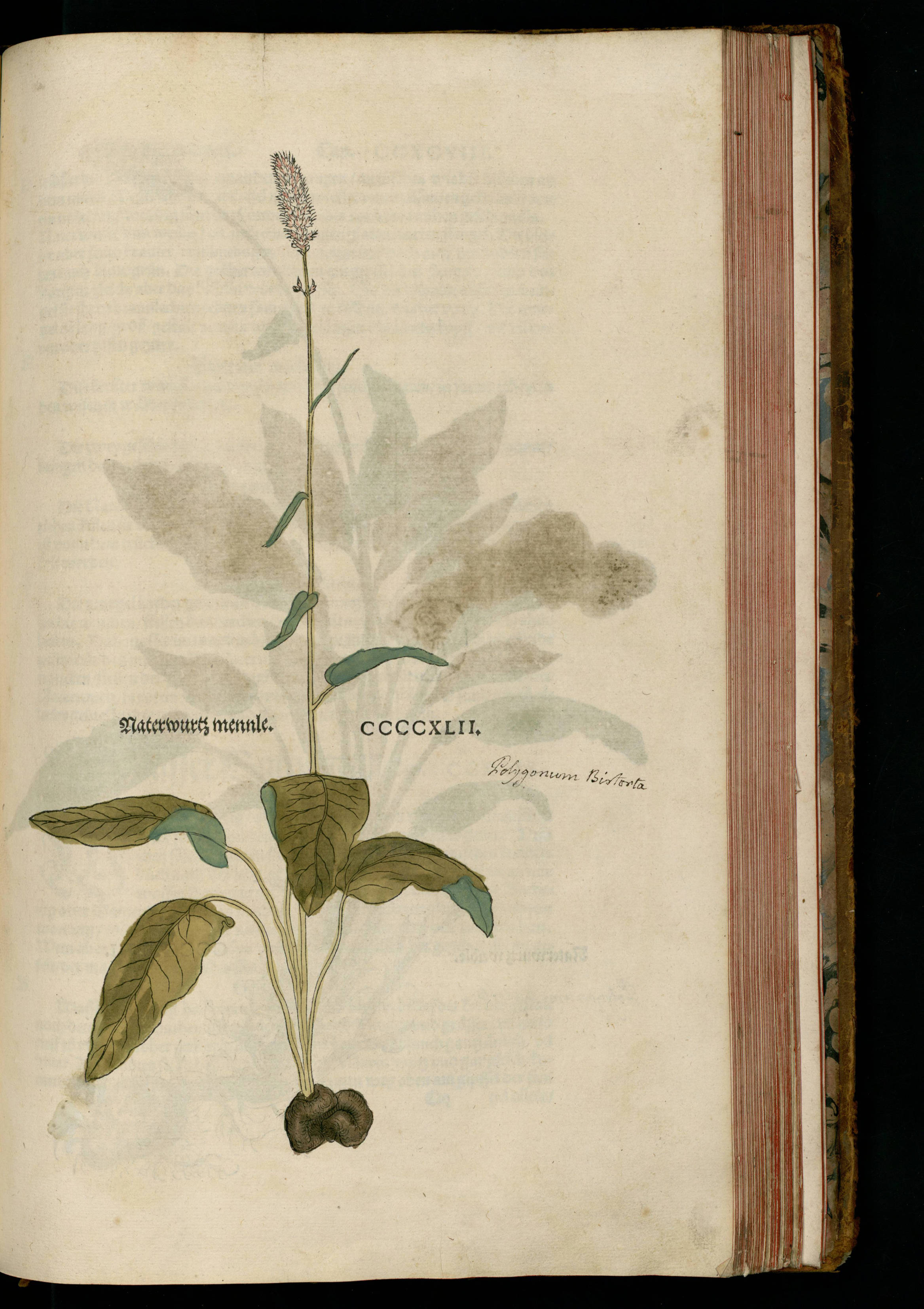 no full size  illustration available (3a)