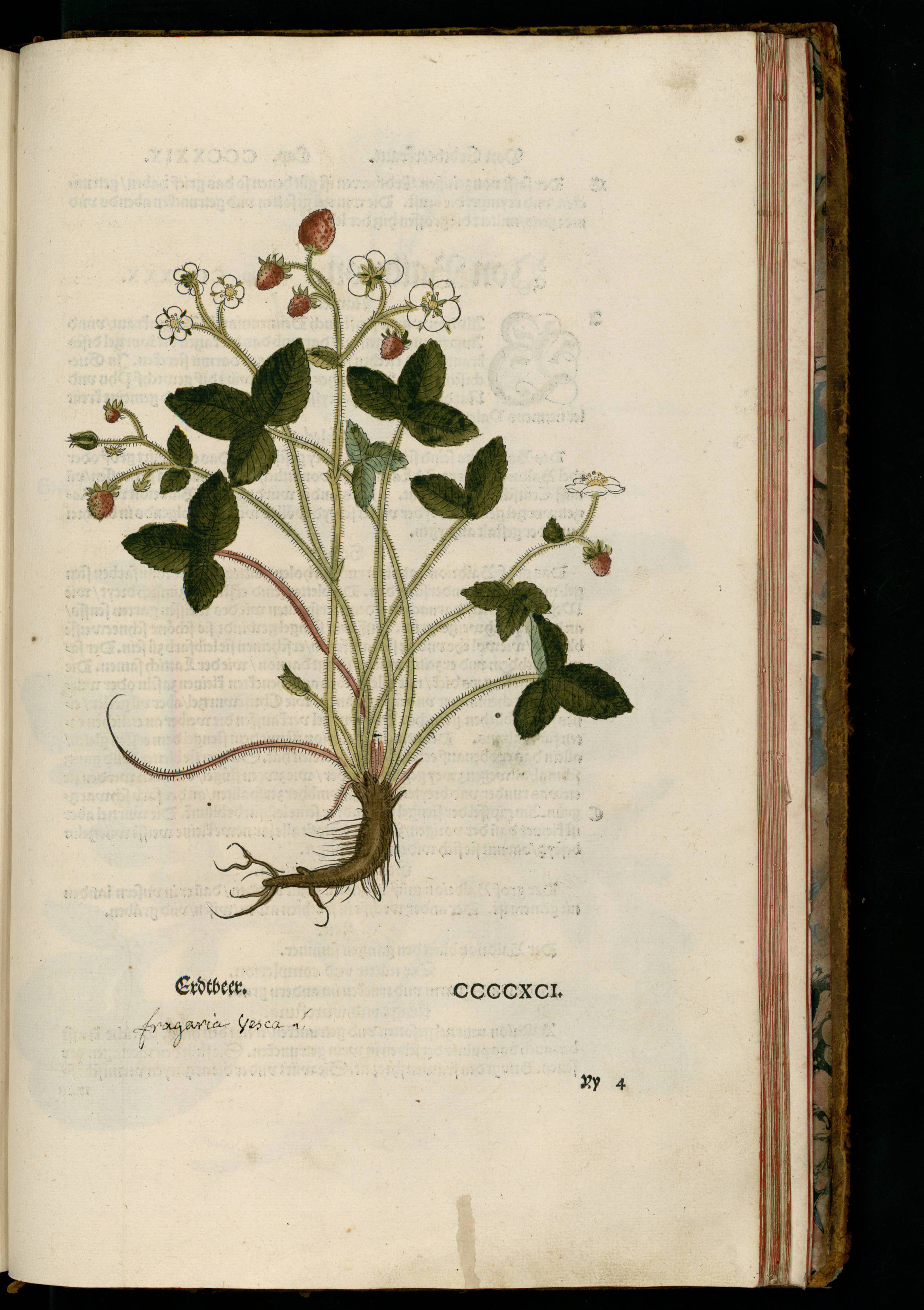 no full size  illustration available (3a)