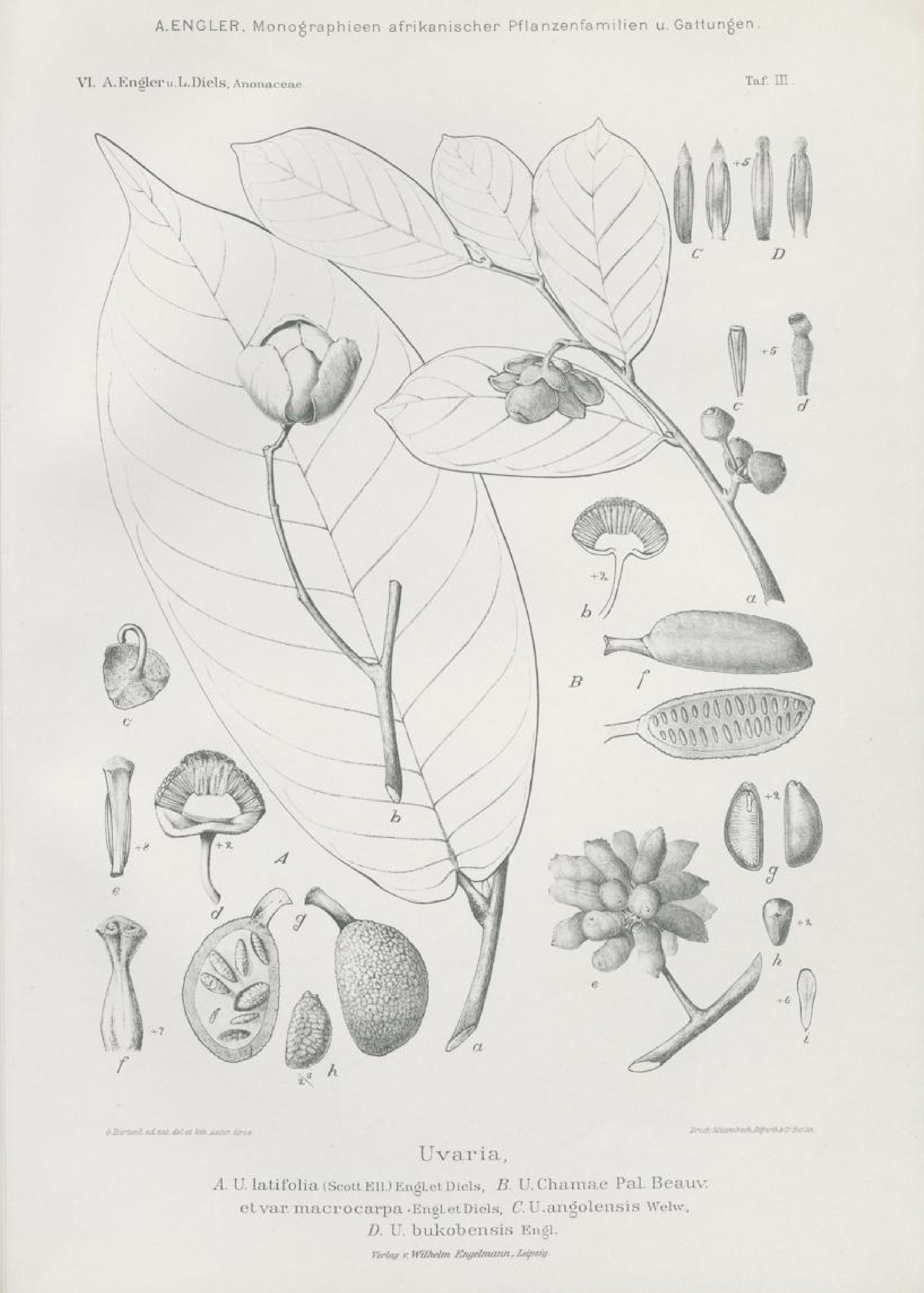 no full size  illustration available (3a)