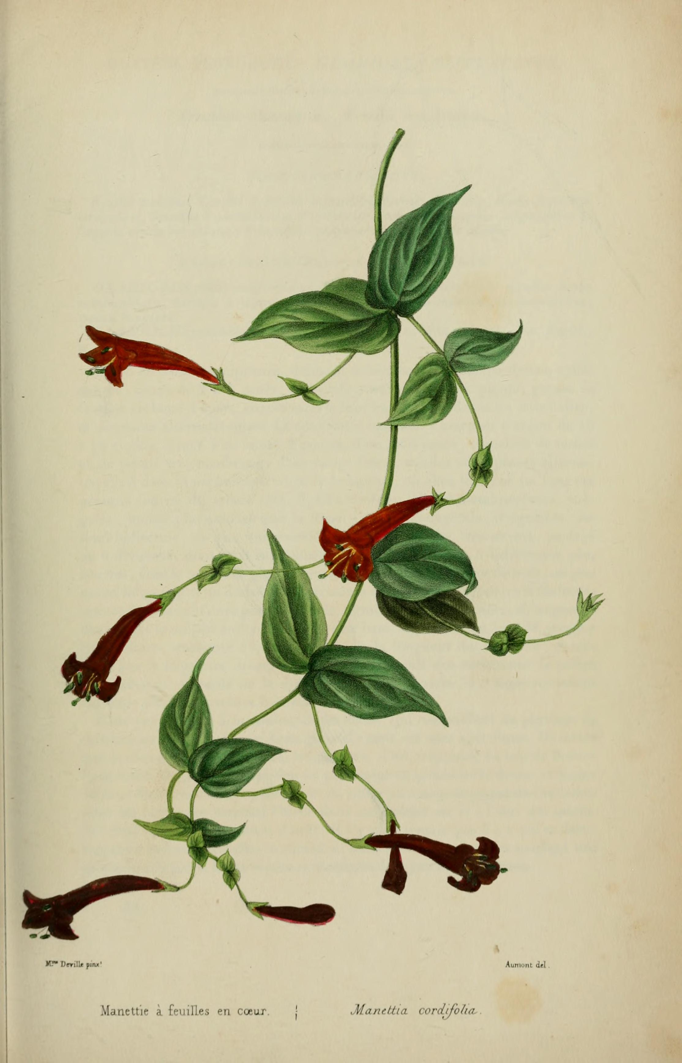 no full size  illustration available (3a)