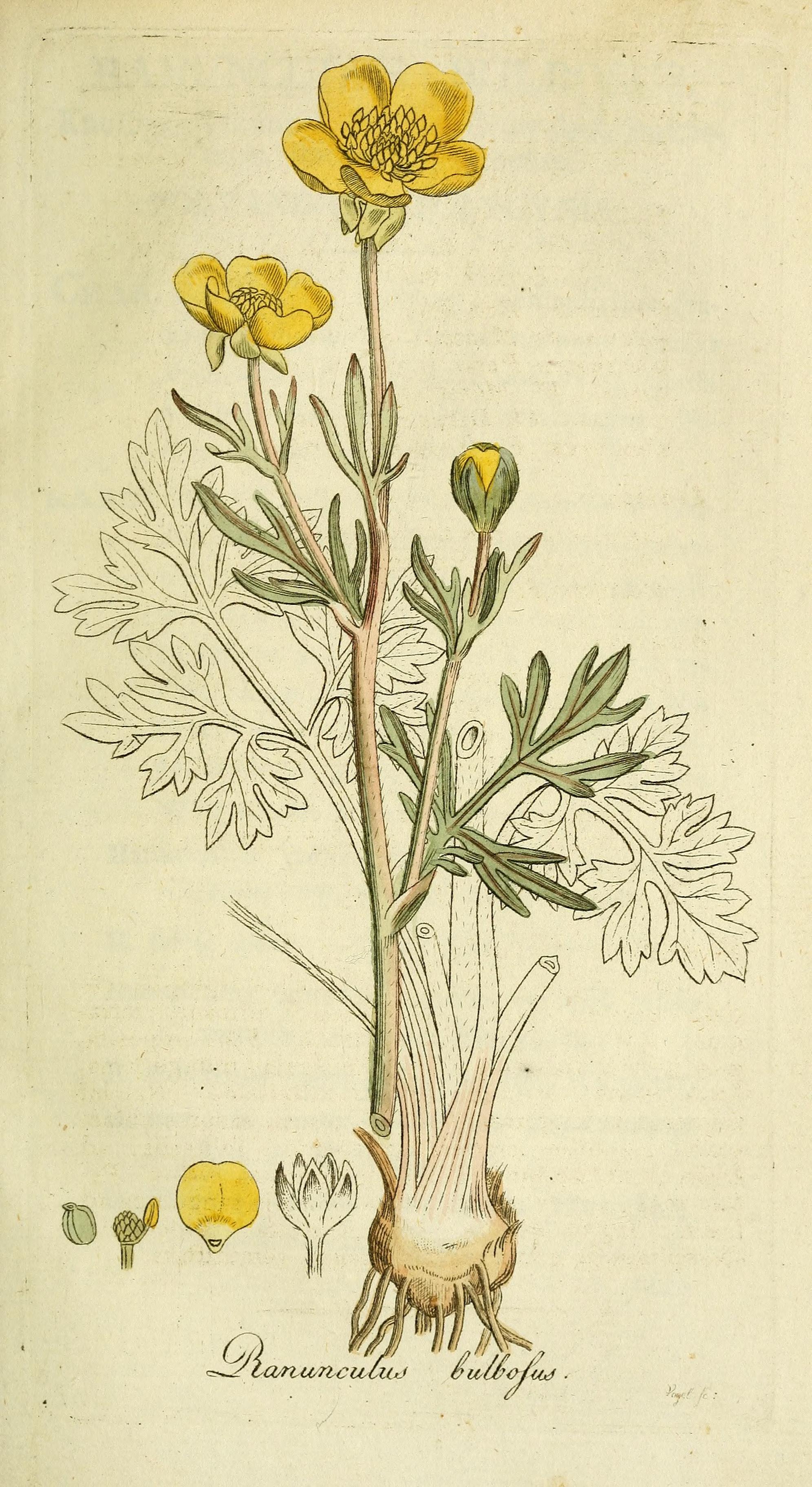 no full size  illustration available (3a)