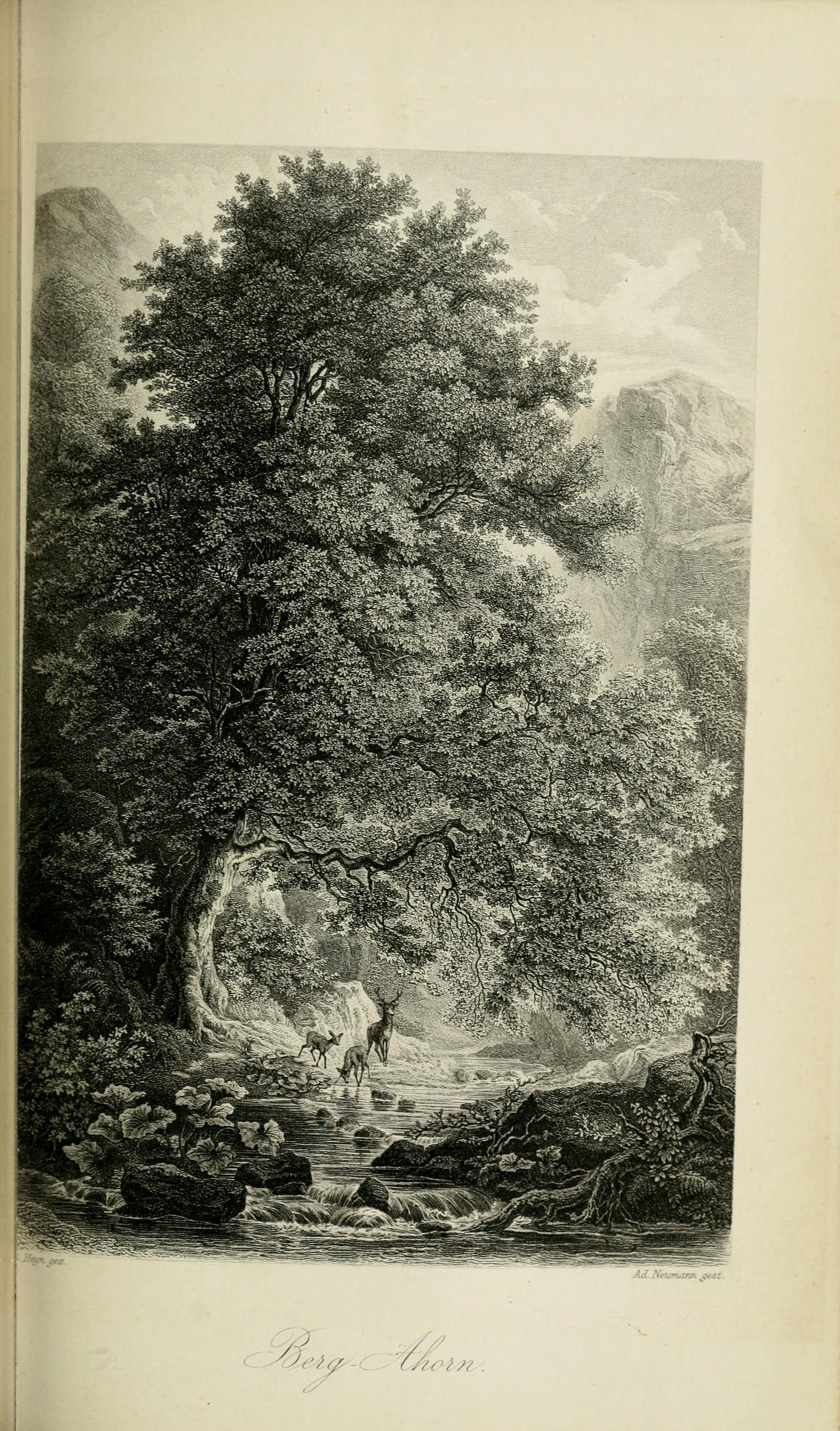 no full size  illustration available (3a)