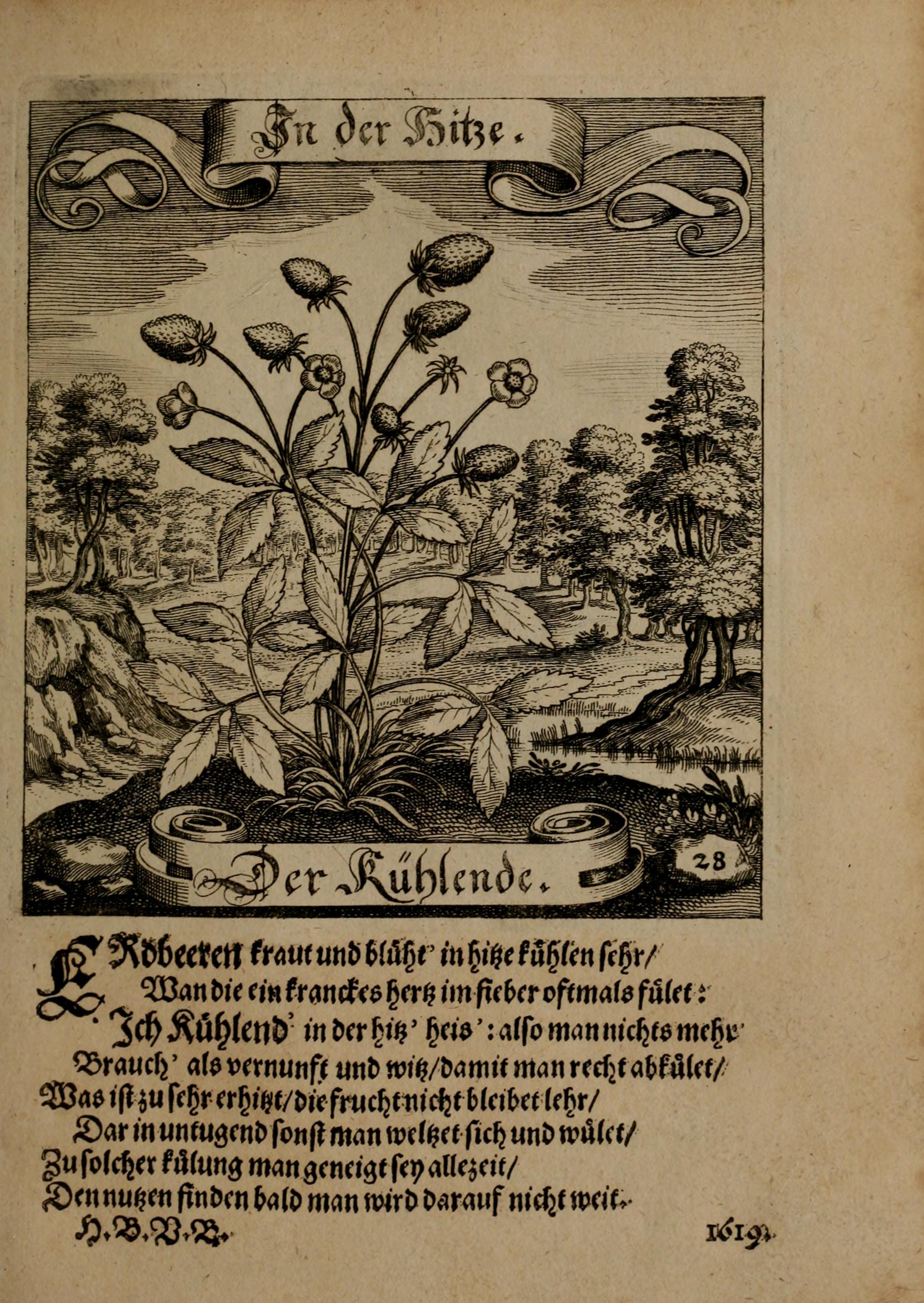 no full size  illustration available (3a)