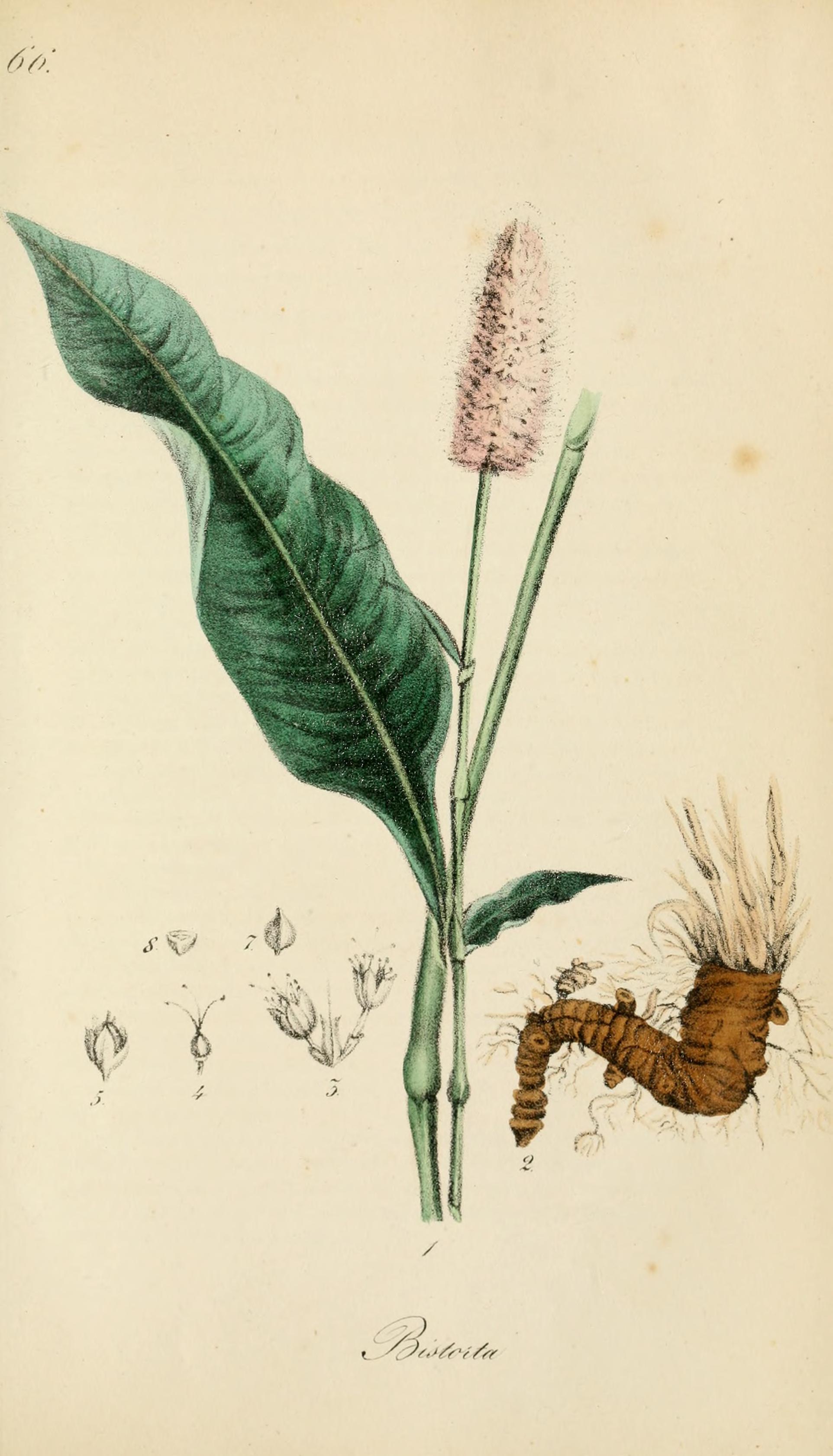 no full size  illustration available (3a)