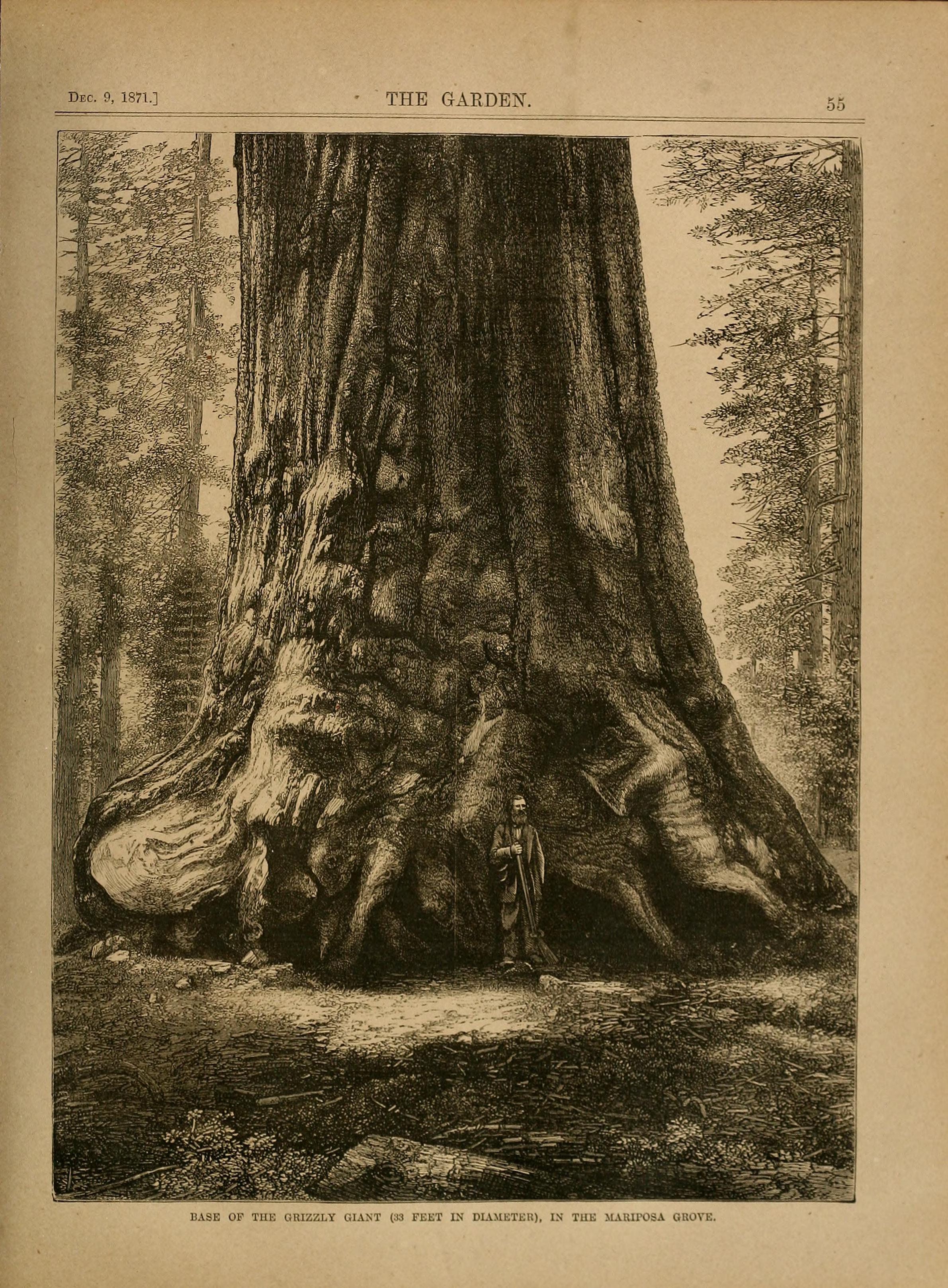 no full size  illustration available (3a)