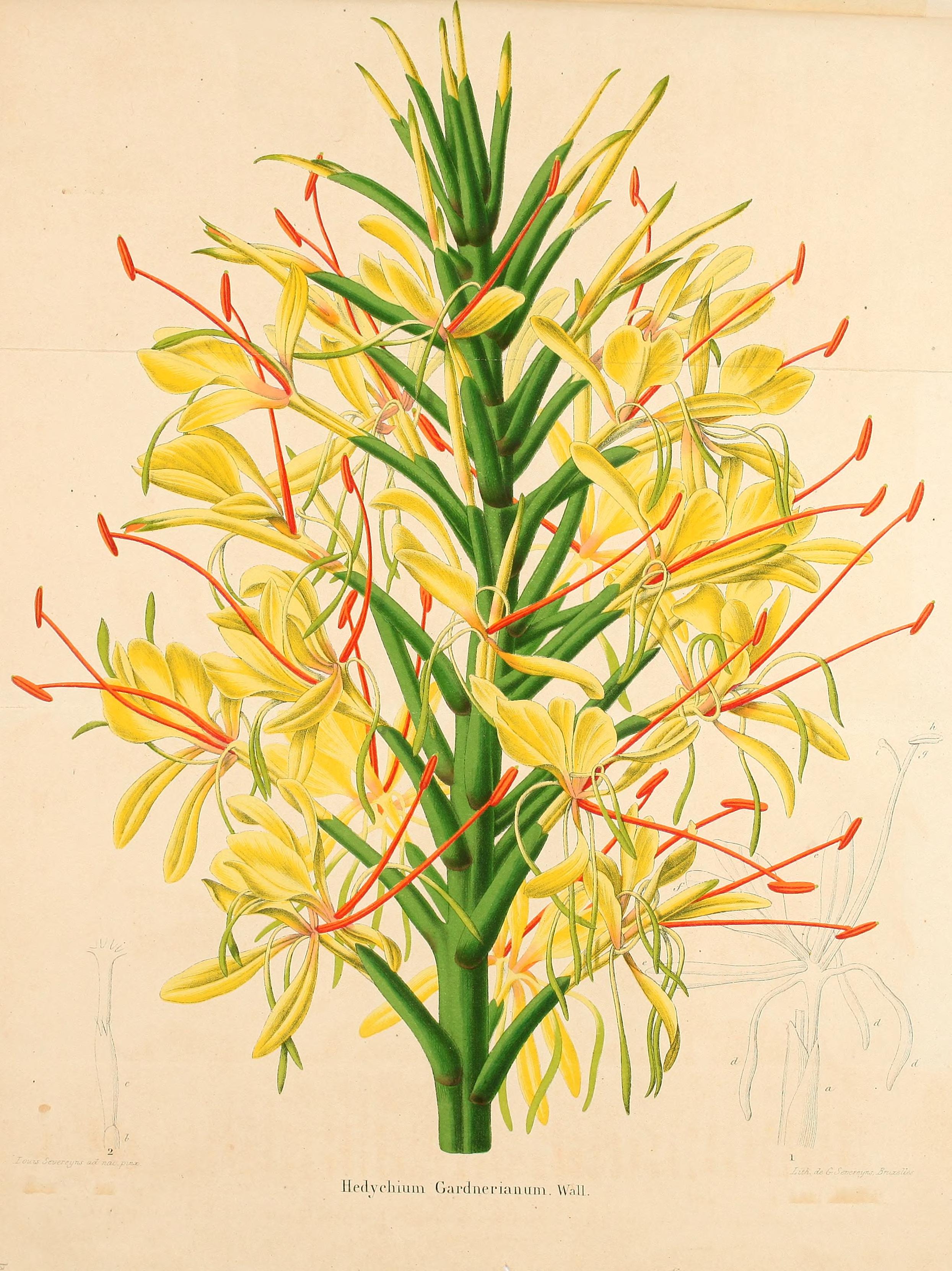 no full size  illustration available (3a)