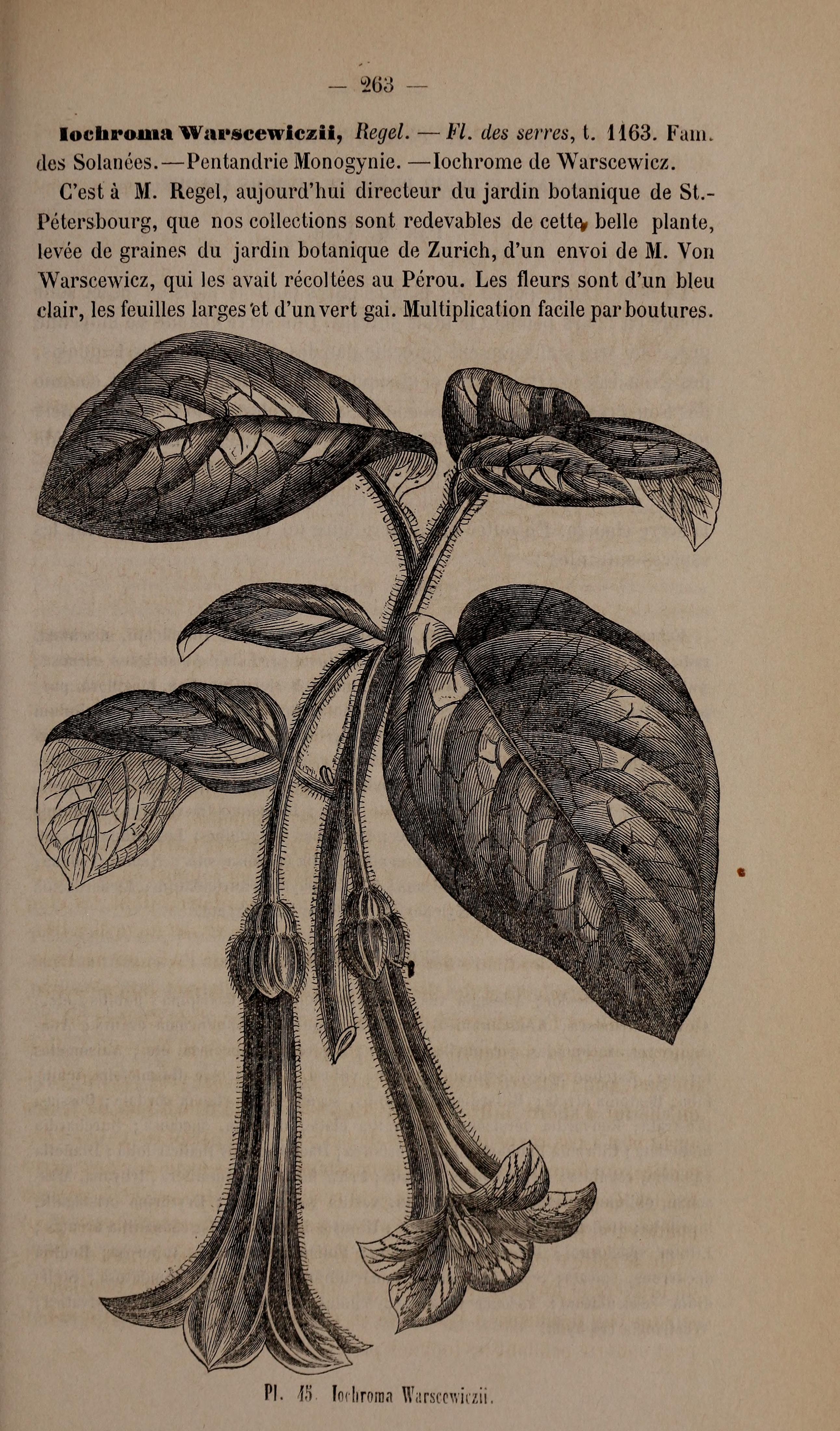 no full size  illustration available (3a)